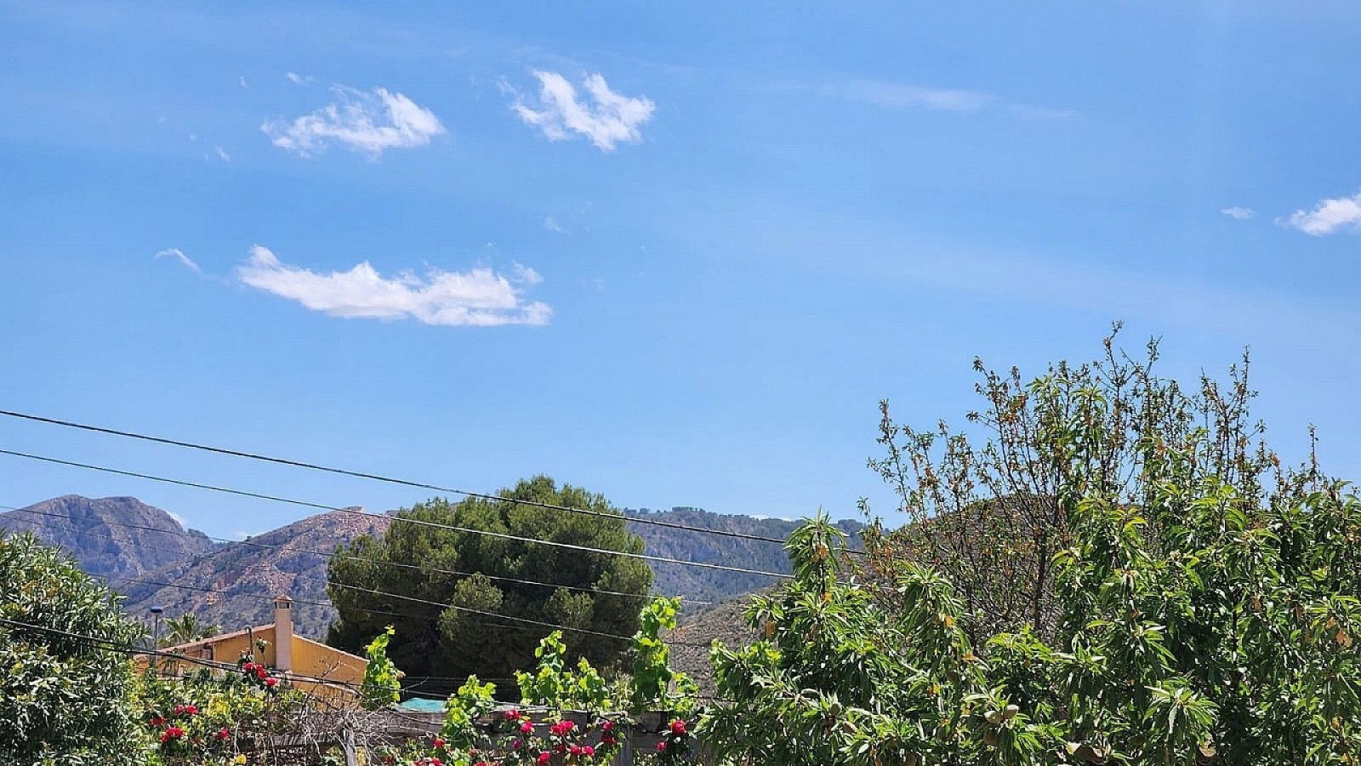 Videresalg - Finca landejendom -
Algueña