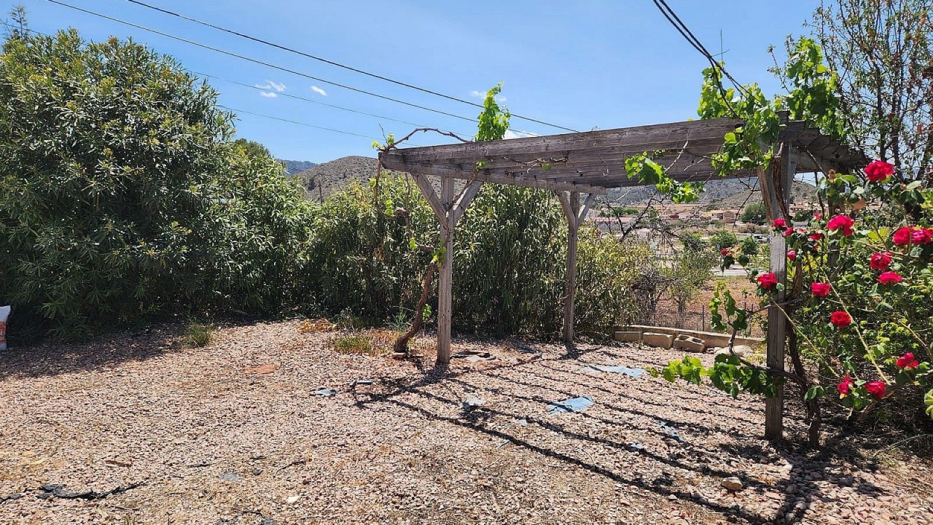 Videresalg - Finca landejendom -
Algueña