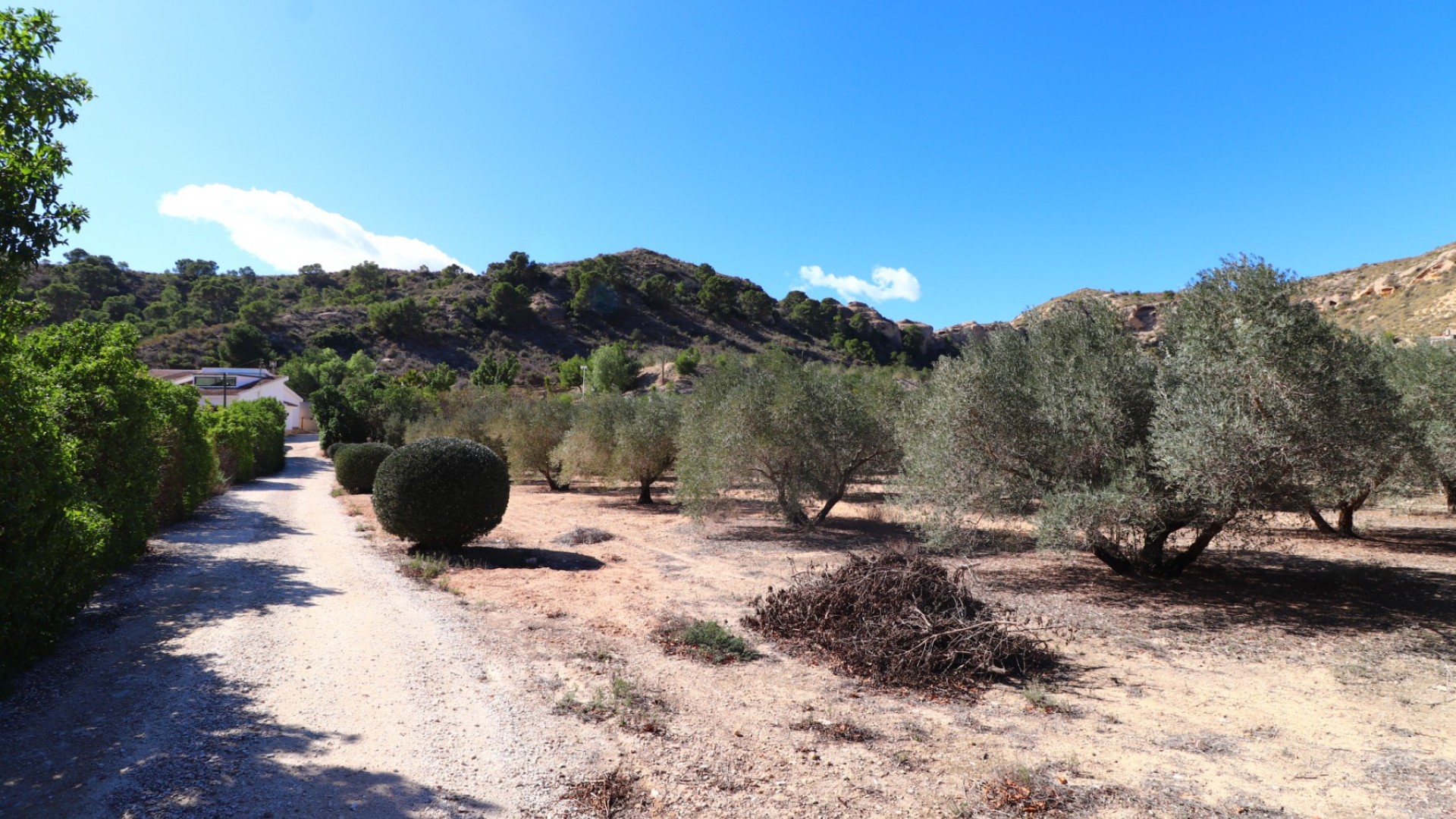 Videresalg - Finca landejendom -
Aspe - Aspe - Country