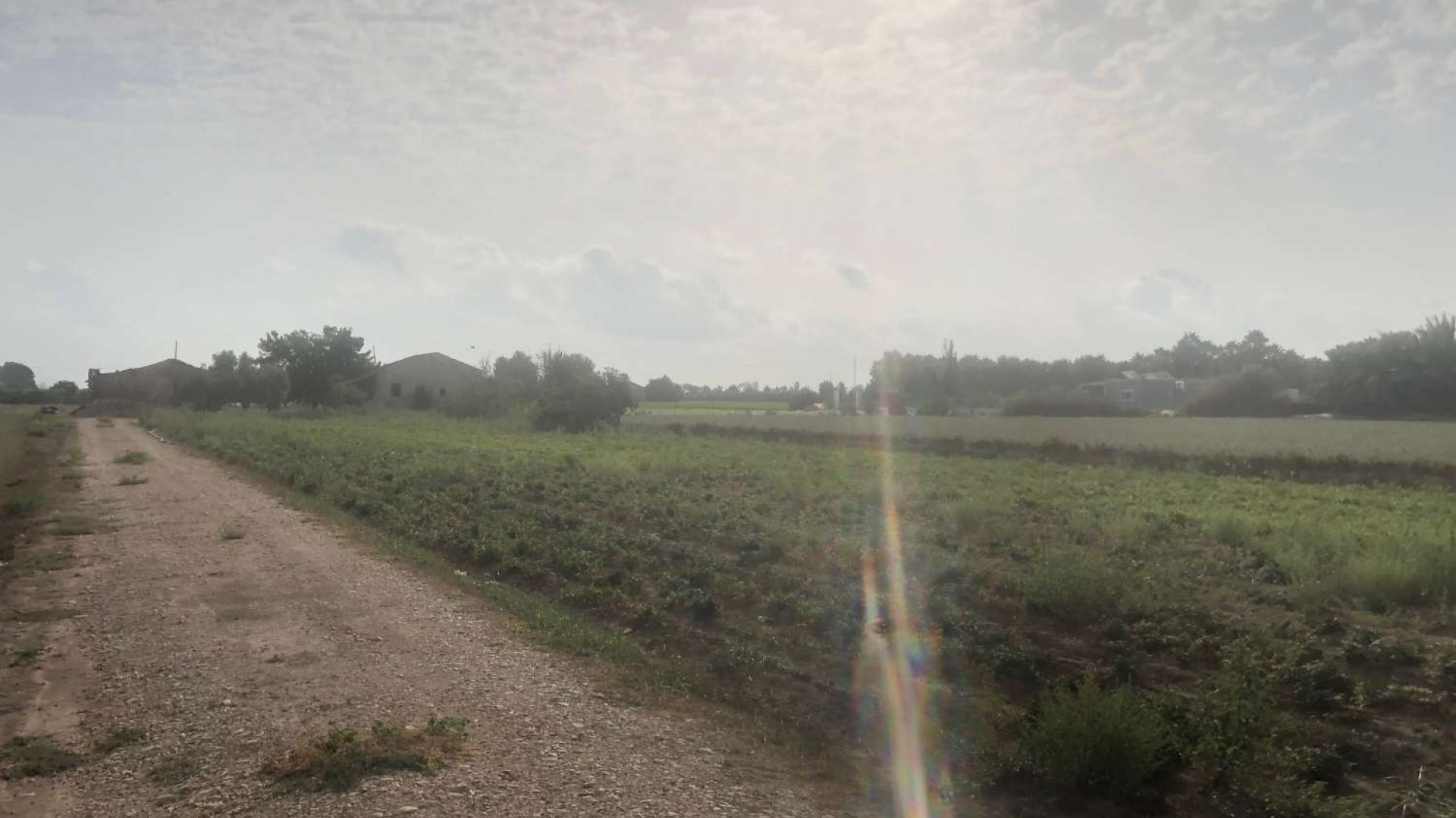 Videresalg - Finca landejendom -
Callosa de Segura