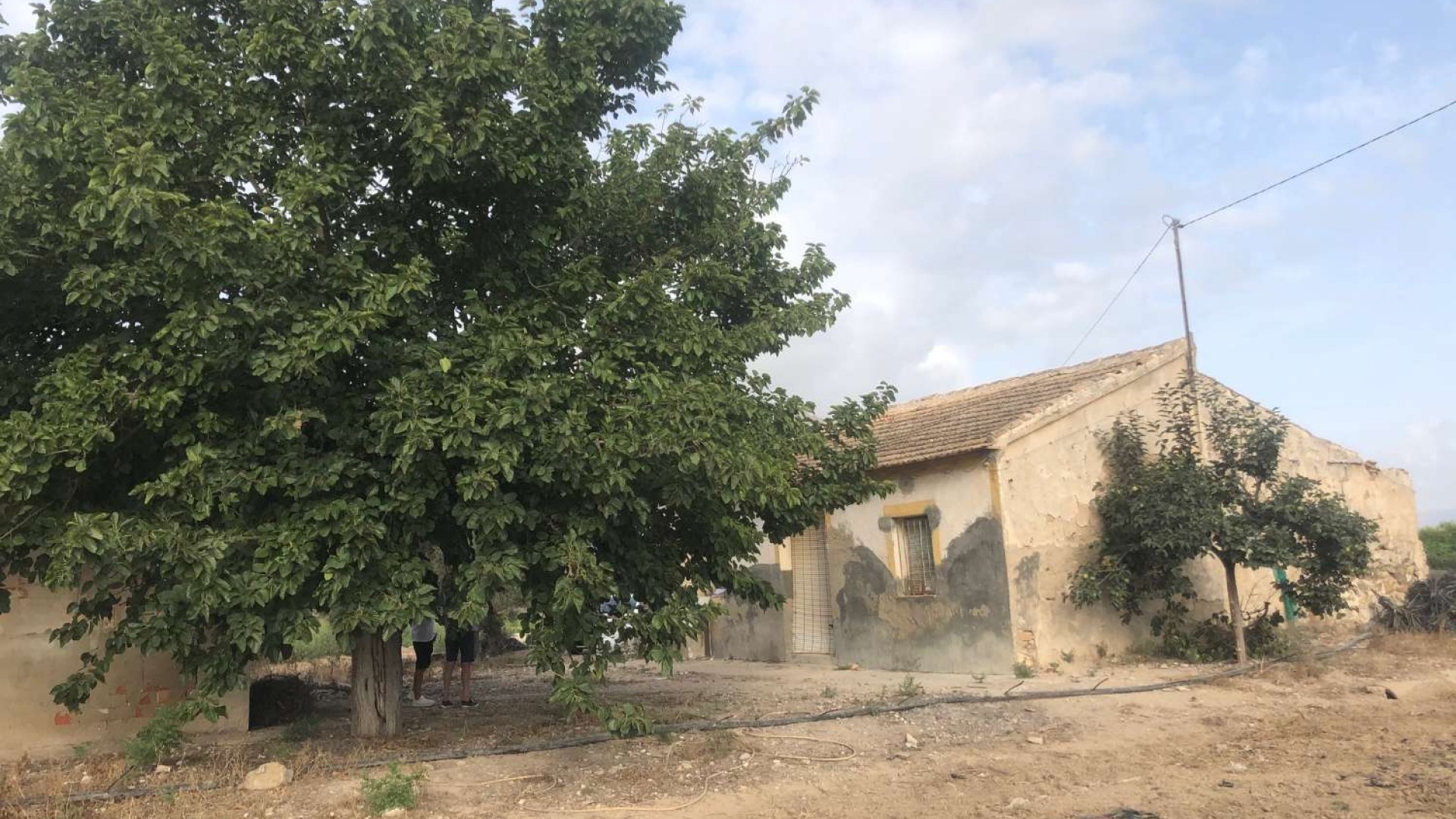 Videresalg - Finca landejendom -
Callosa de Segura