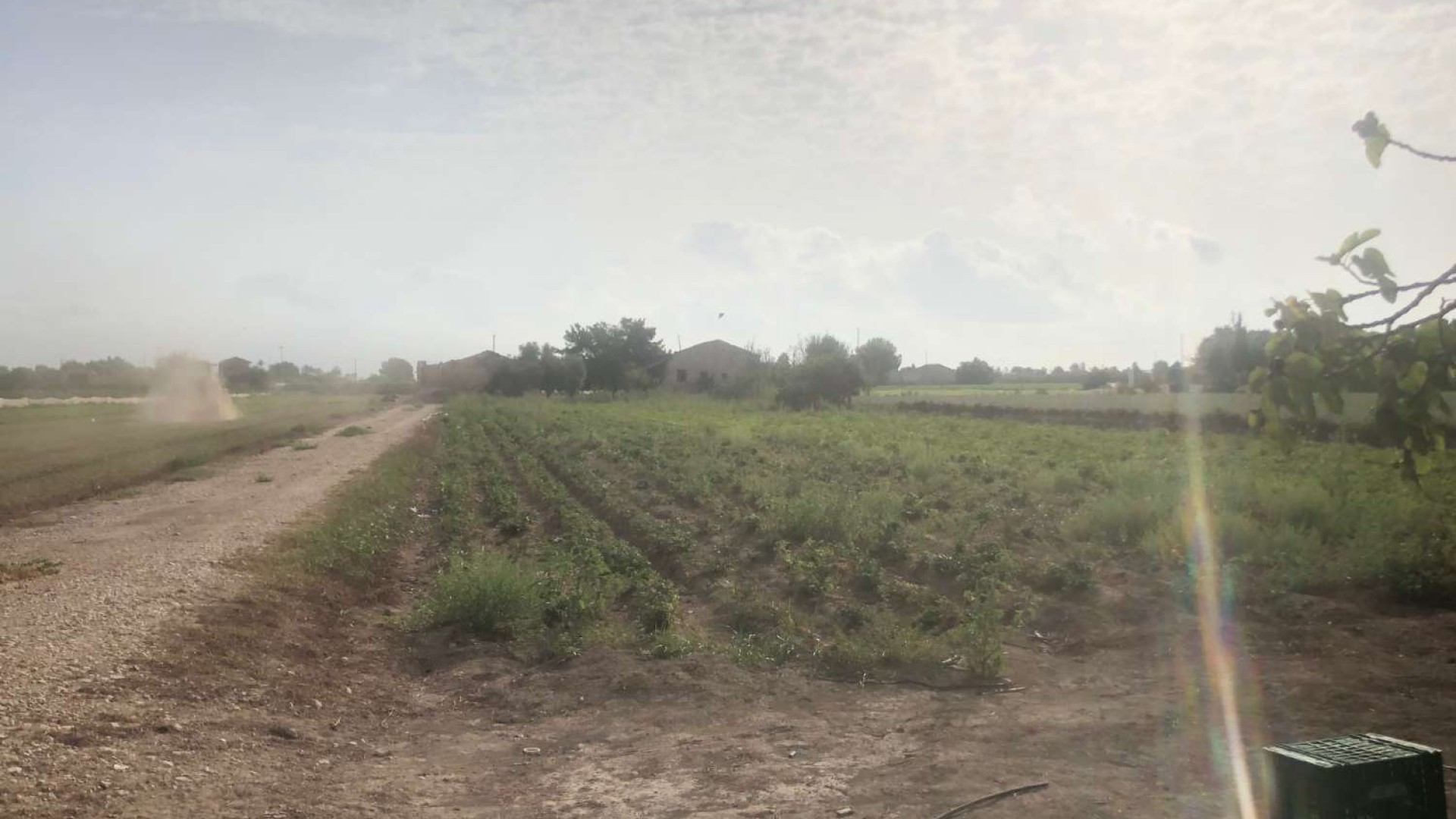 Videresalg - Finca landejendom -
Callosa de Segura