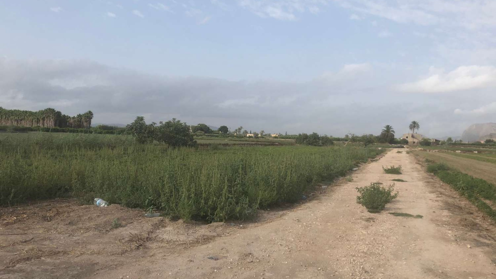 Videresalg - Finca landejendom -
Callosa de Segura