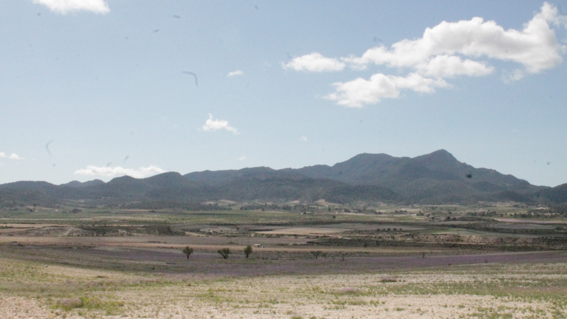 Videresalg - Finca landejendom -
Cañada del Trigo - Canada del Trigo Murcia