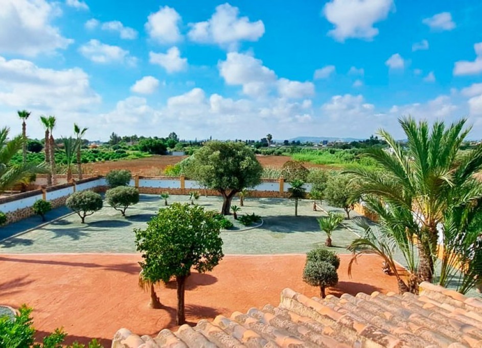 Videresalg - Finca landejendom -
Catral - Catral - Country