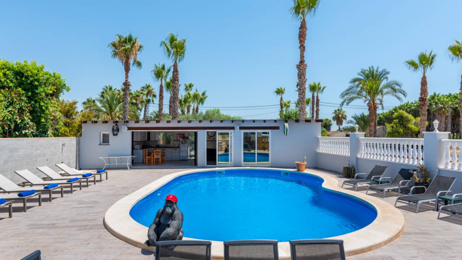 Videresalg - Finca landejendom -
Catral