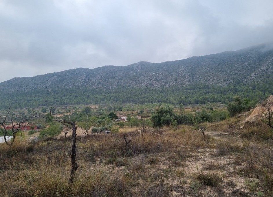 Videresalg - Finca landejendom -
La Romana