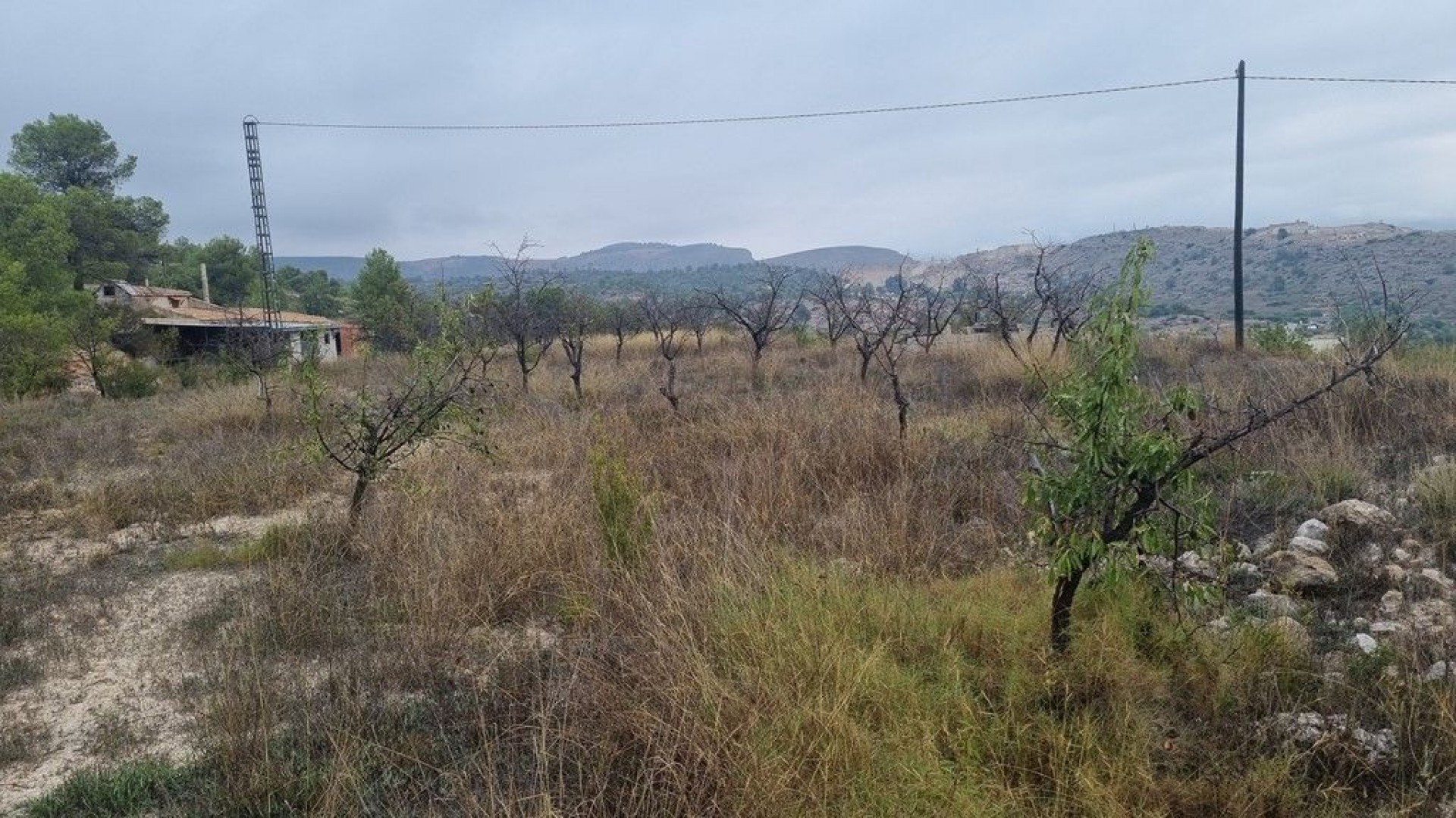 Videresalg - Finca landejendom -
La Romana