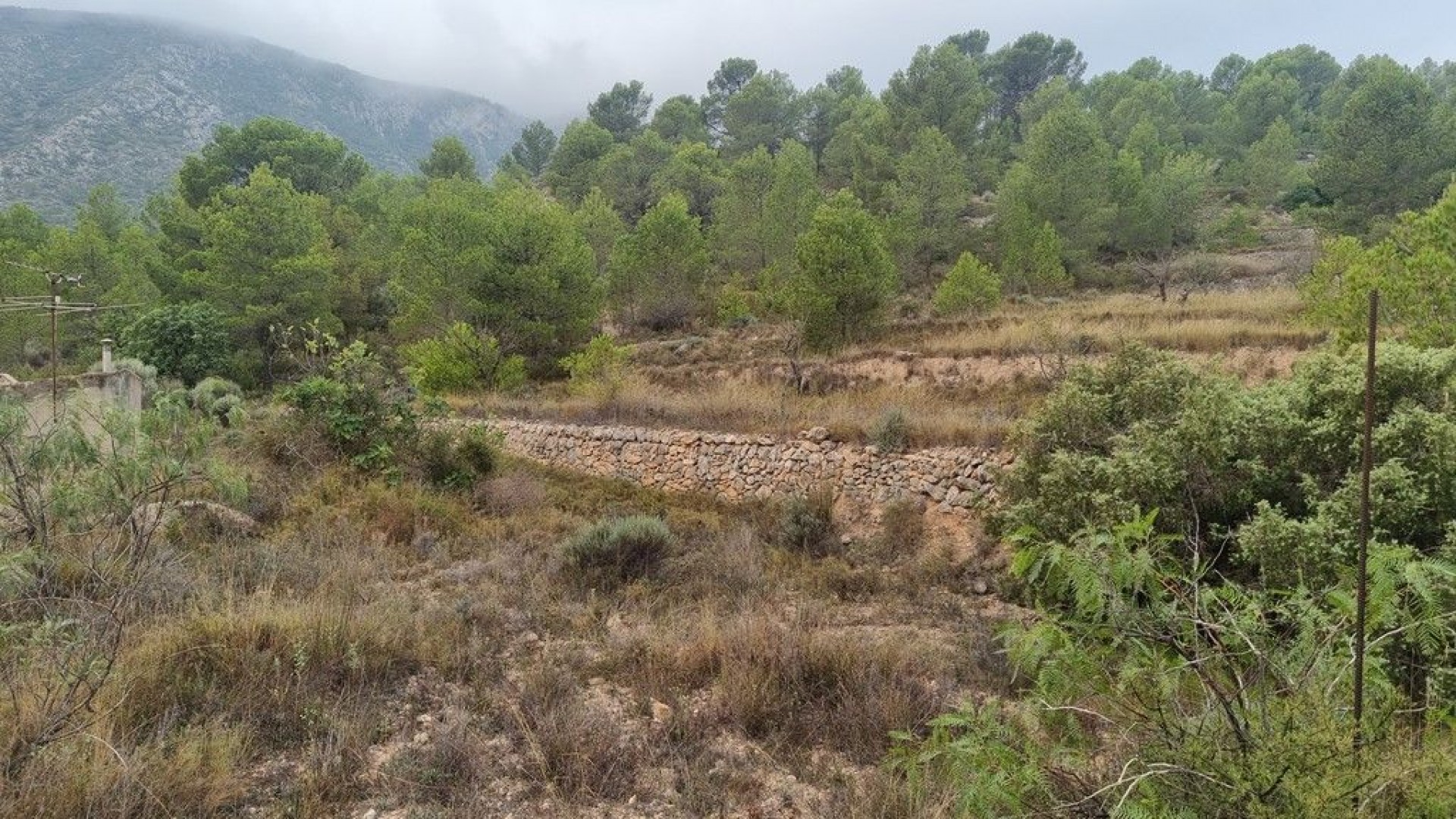 Videresalg - Finca landejendom -
La Romana