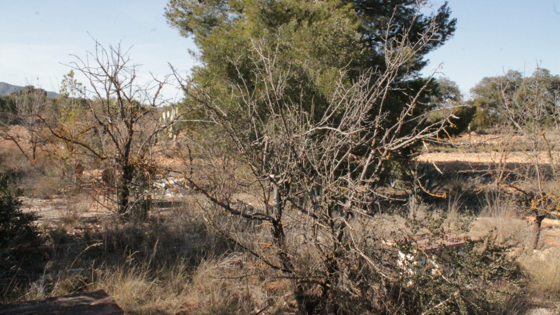 Videresalg - Finca landejendom -
Lel - Lel Alicante