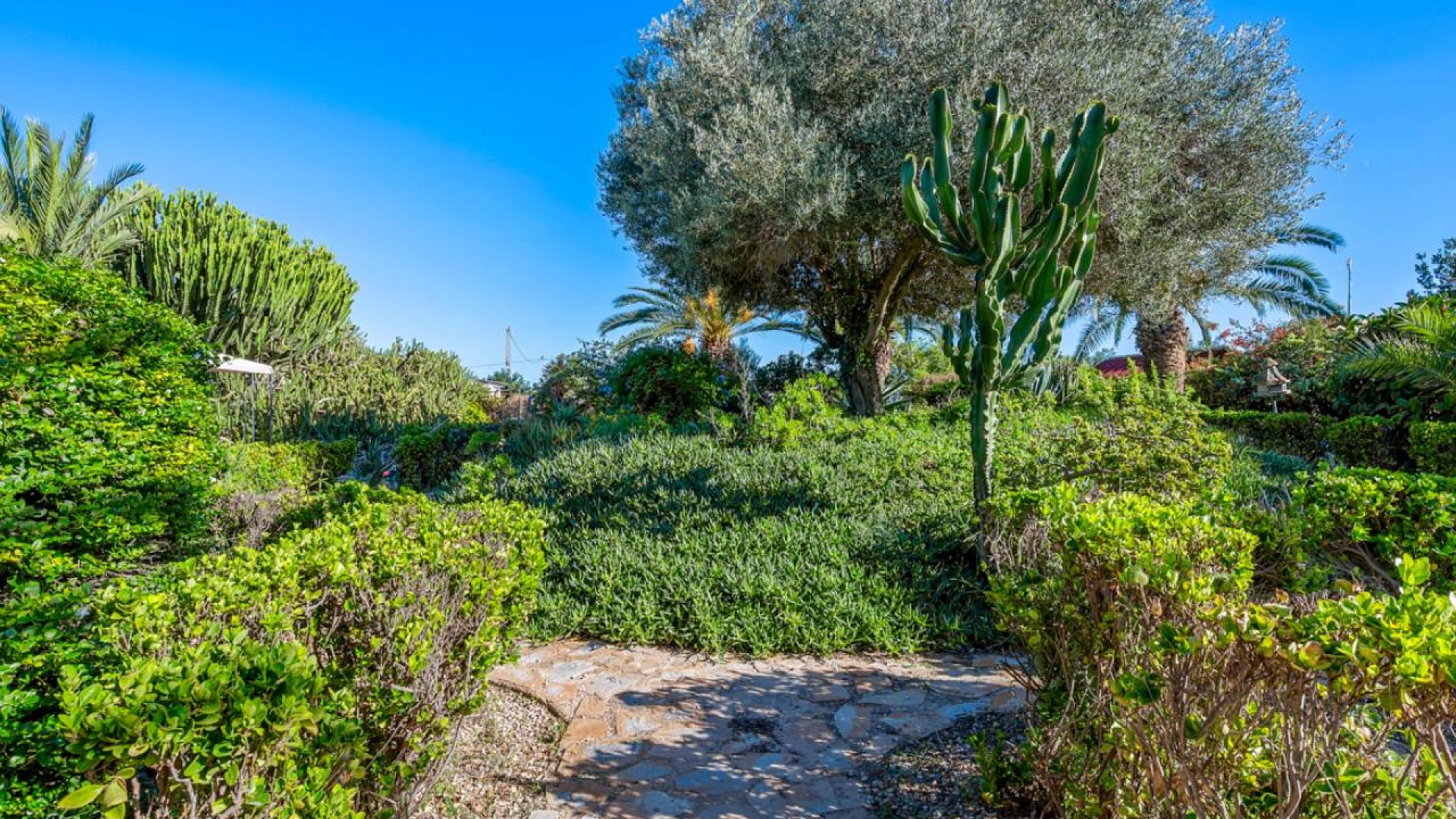 Videresalg - Finca landejendom -
Los Montesinos