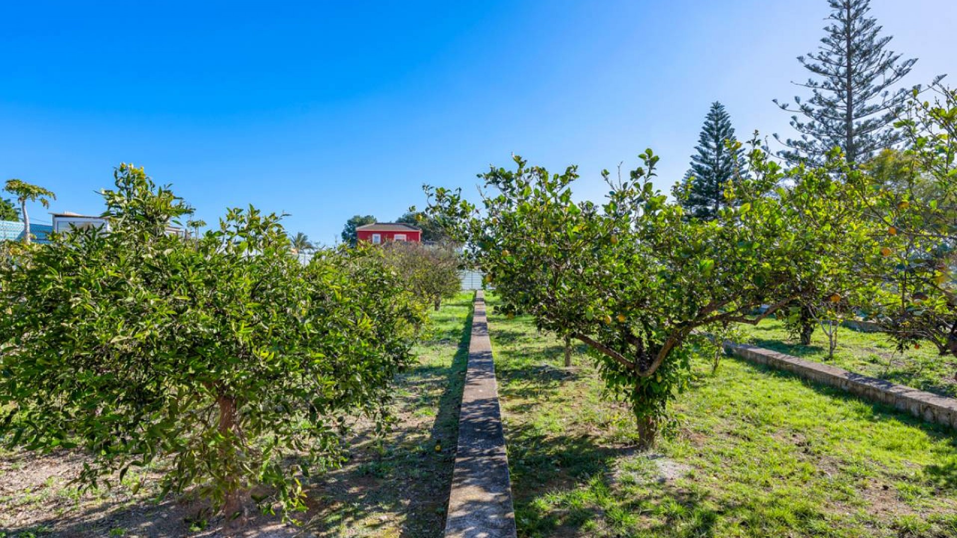Videresalg - Finca landejendom -
Los Montesinos