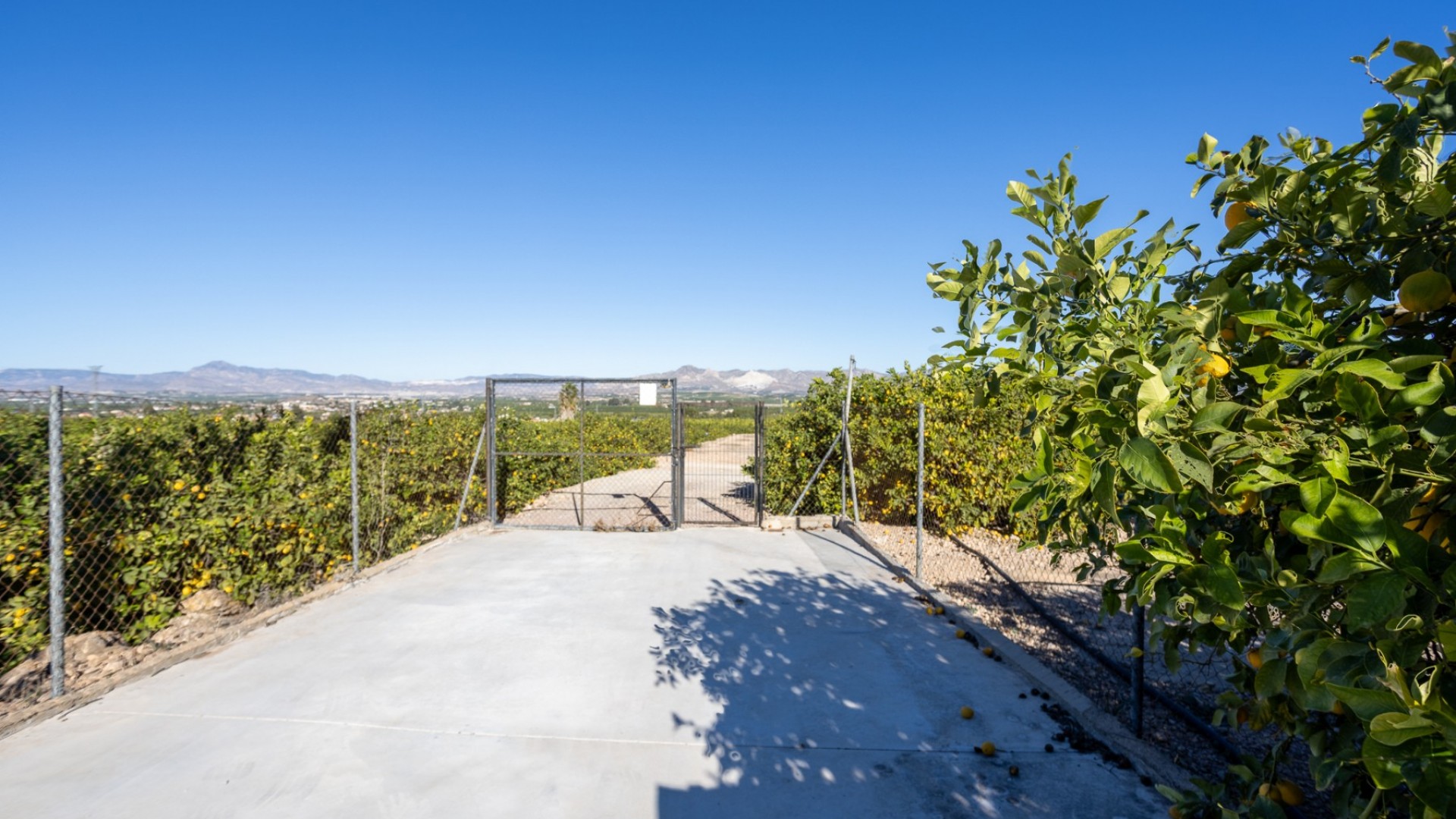 Videresalg - Finca landejendom -
Orihuela - La Matanza