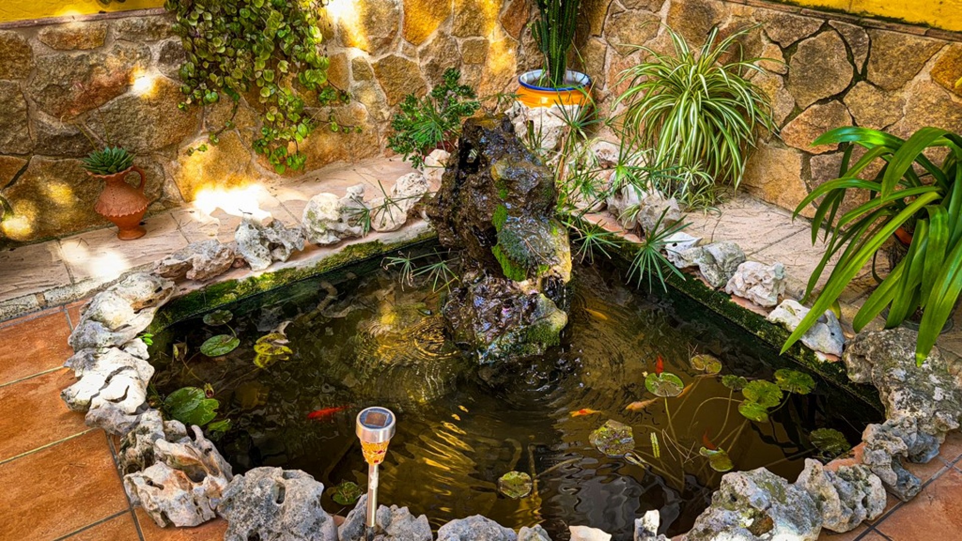 Videresalg - Finca landejendom -
Orihuela