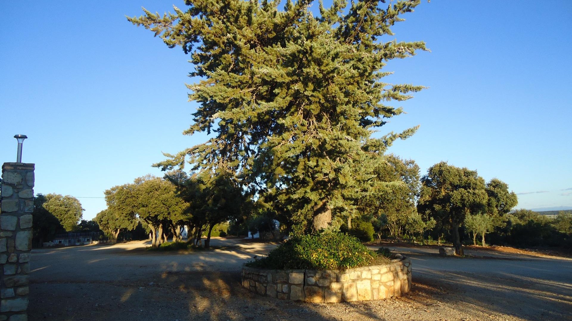 Videresalg - Finca landejendom -
Ossa de Montiel - Lagunas de ruidera