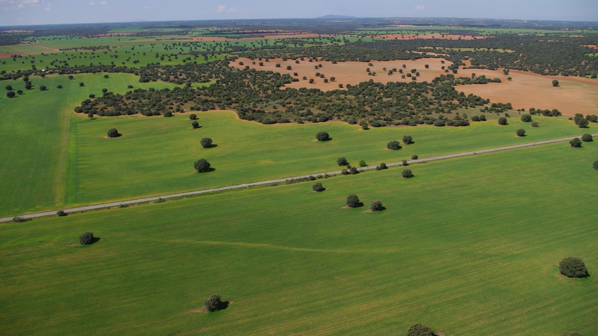 Videresalg - Finca landejendom -
Ossa de Montiel - Lagunas de ruidera