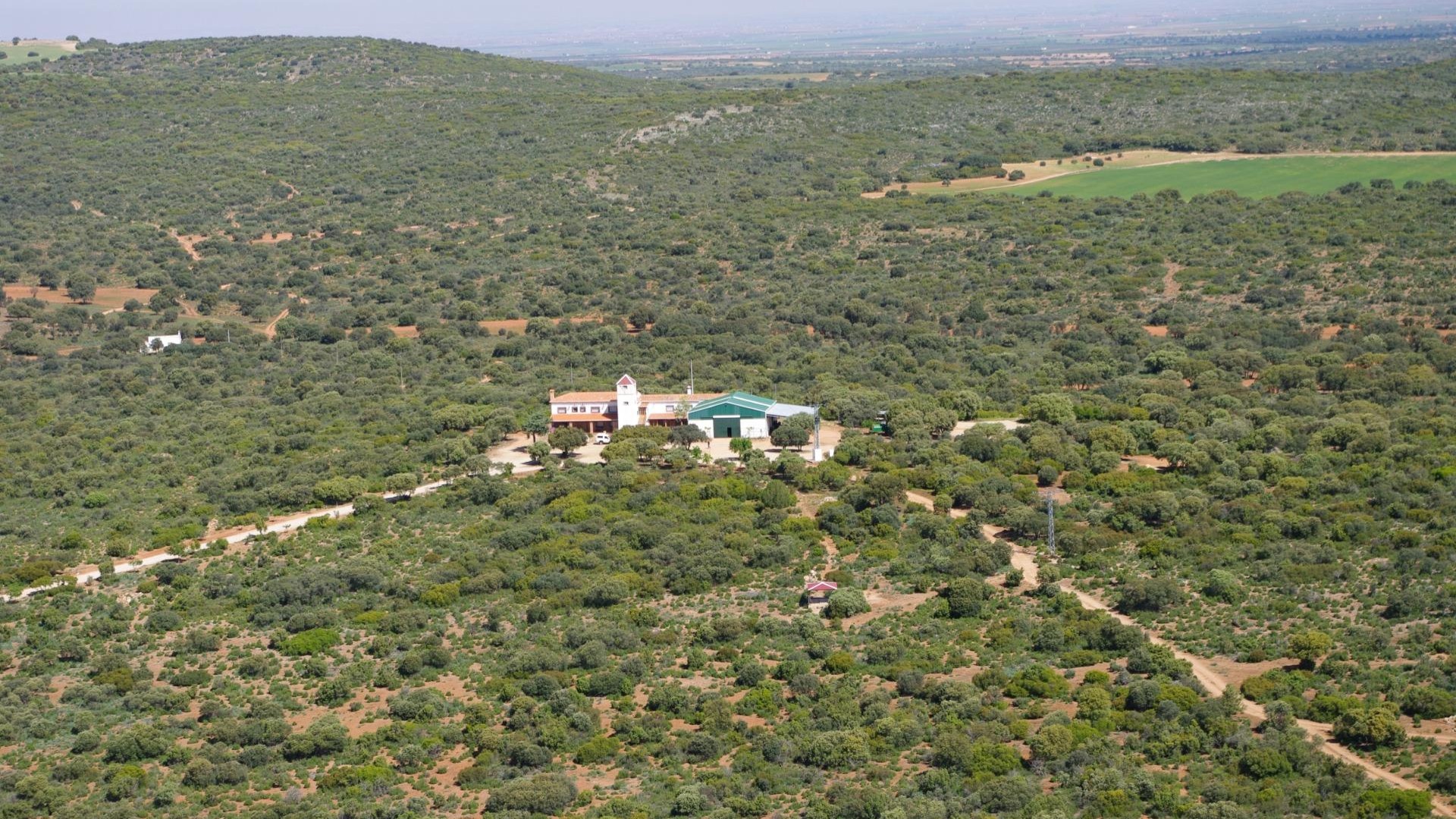 Videresalg - Finca landejendom -
Ossa de Montiel - Lagunas de ruidera