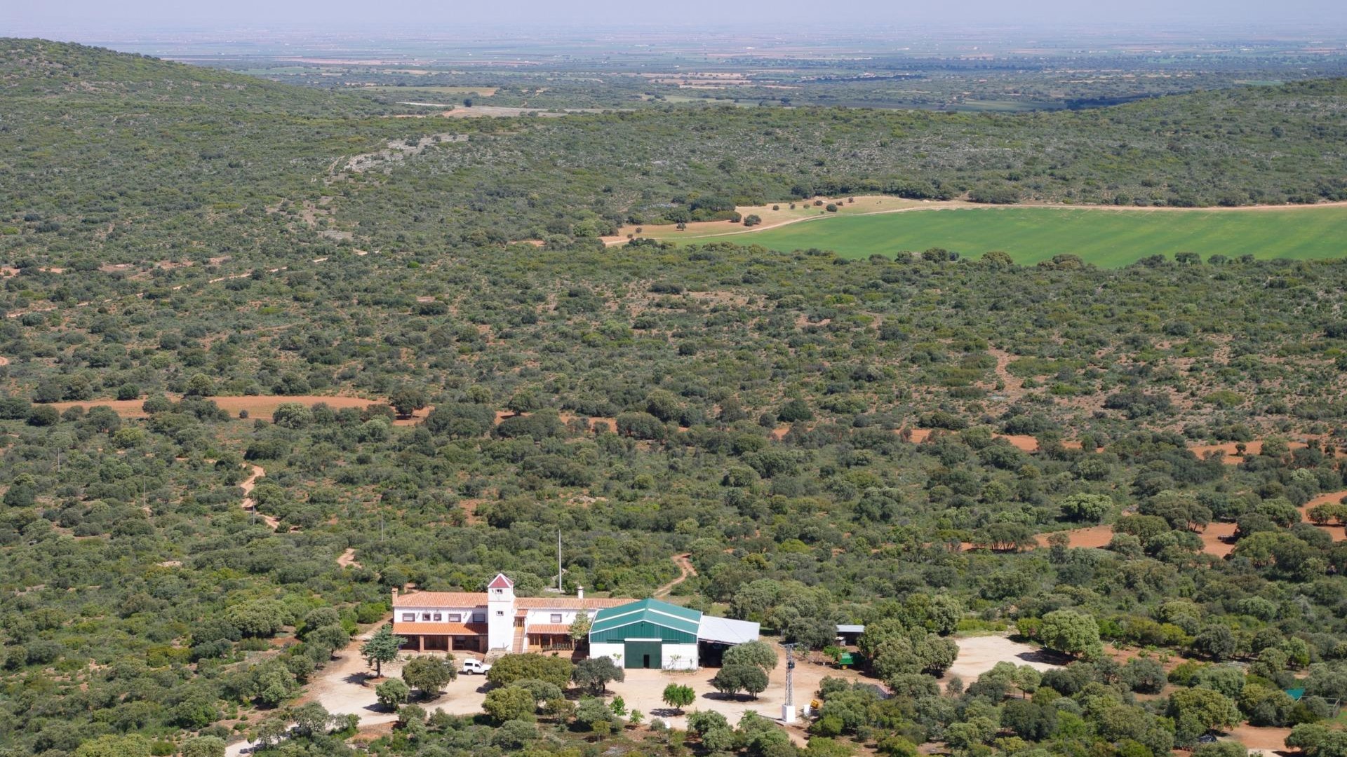 Videresalg - Finca landejendom -
Ossa de Montiel - Lagunas de ruidera