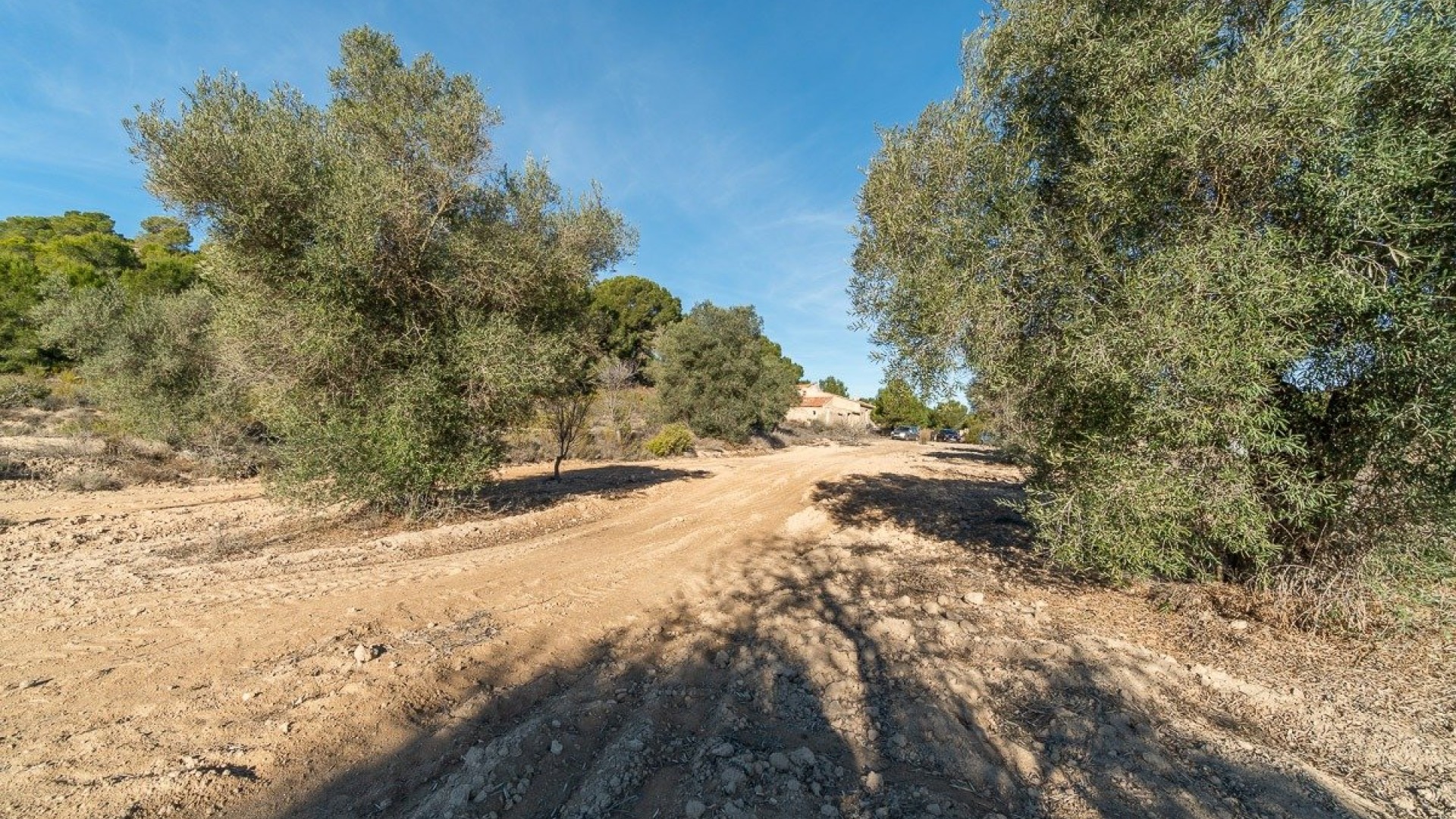 Videresalg - Finca landejendom -
Pilar de la Horadada - Pinar de la Perdiz