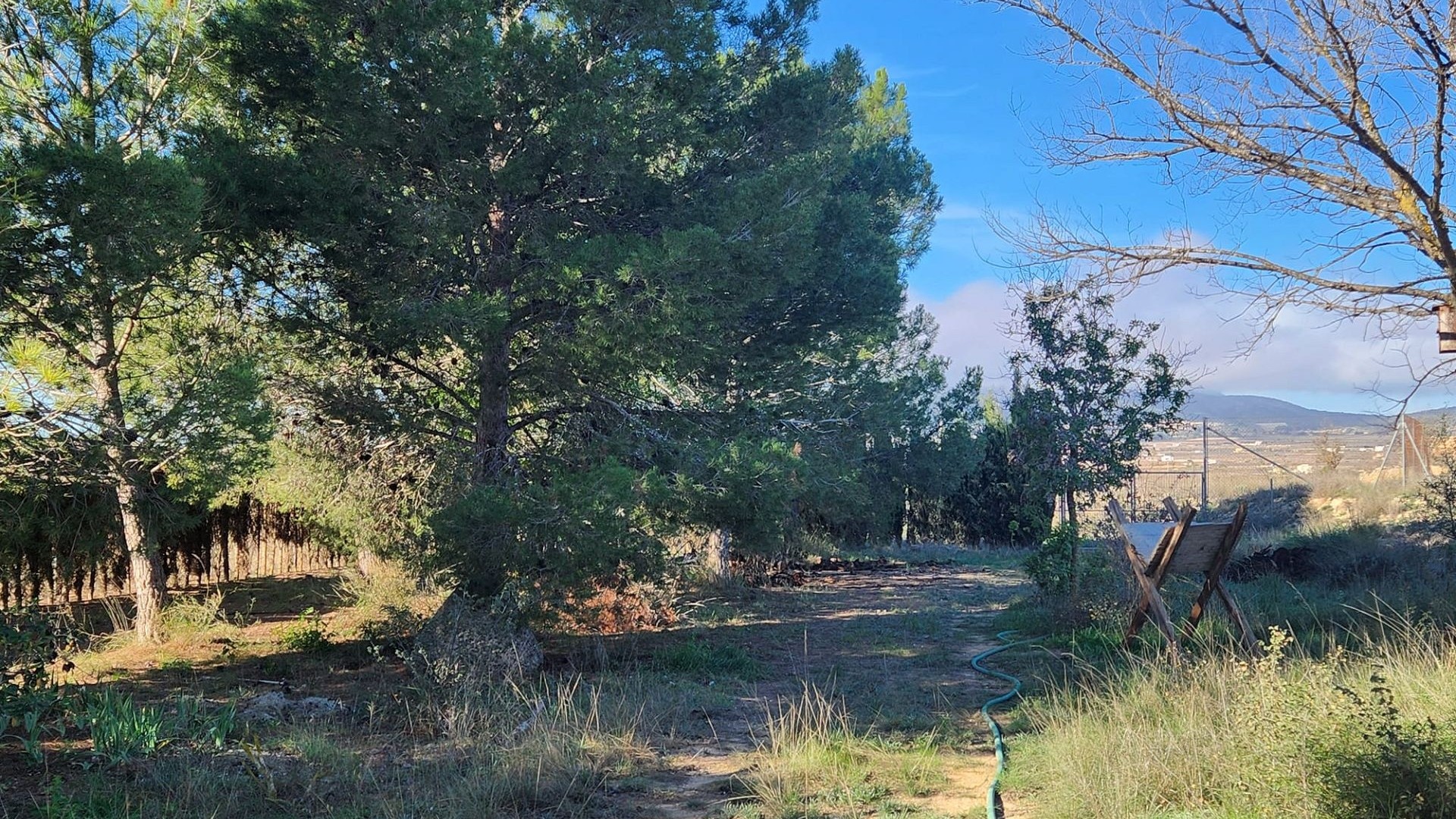 Videresalg - Finca landejendom -
Pinoso