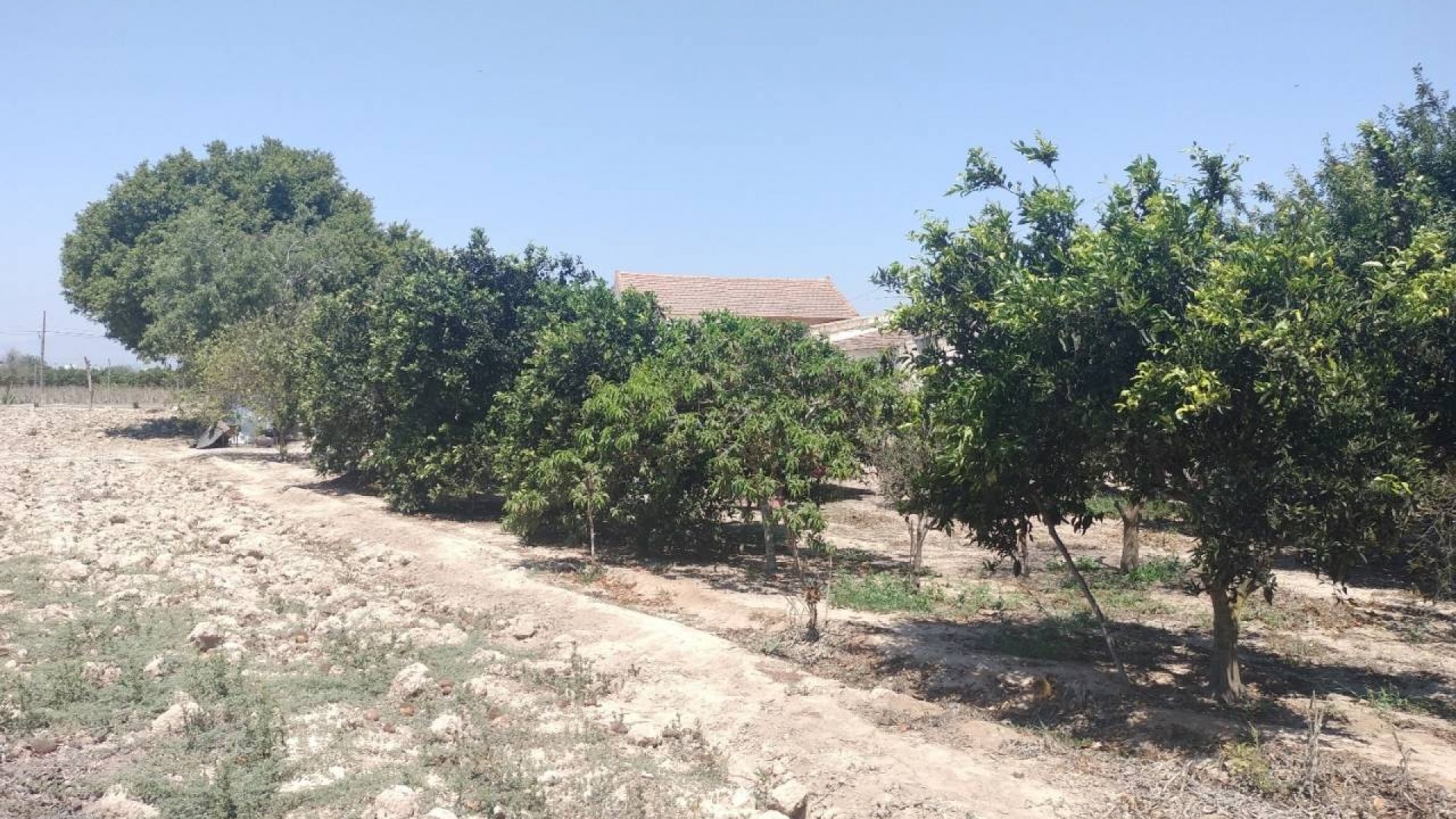 Videresalg - Finca landejendom -
Rojales - Cuidad Quesada