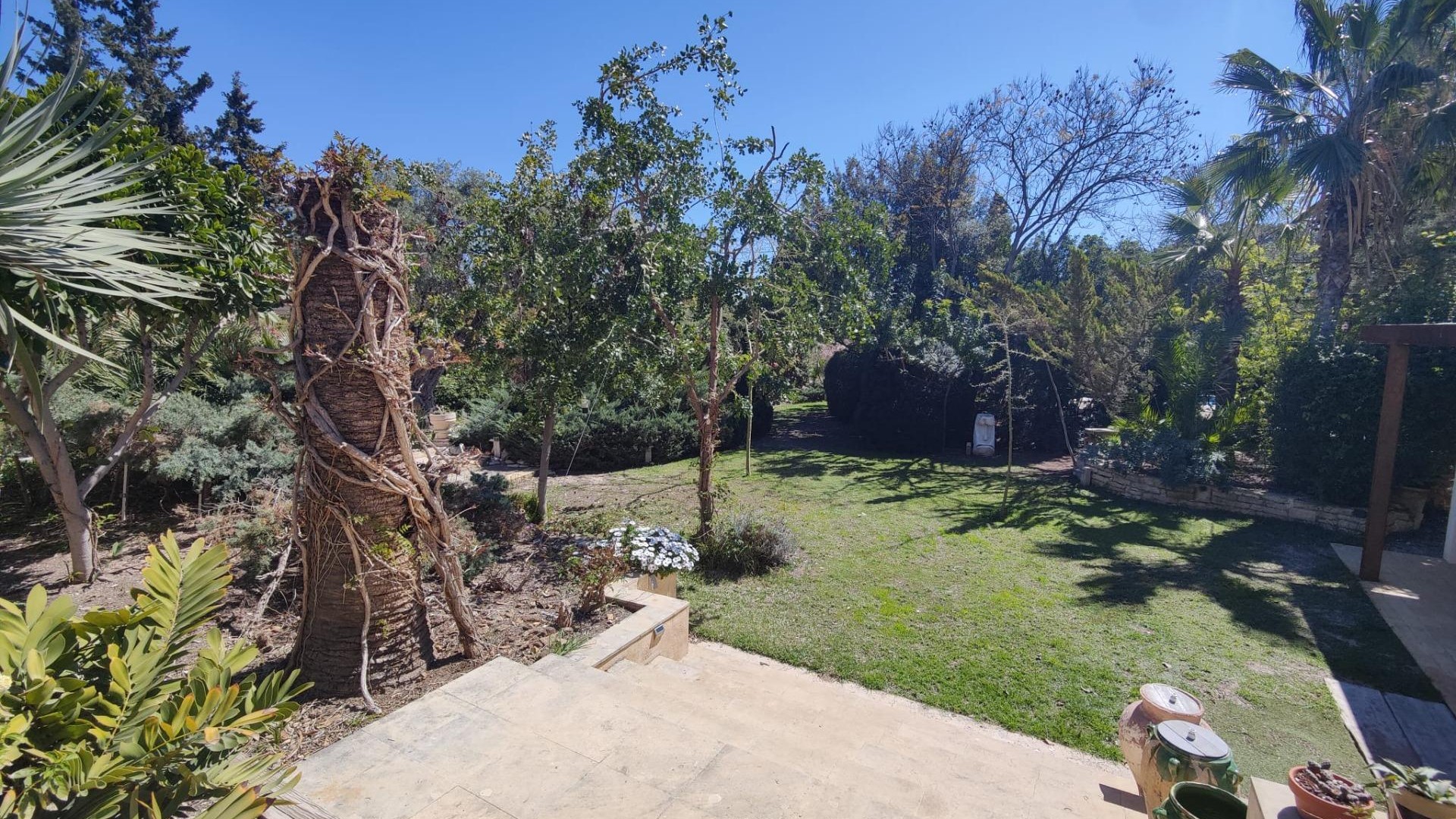 Videresalg - Finca landejendom -
San Juan de Alicante - SAN JUAN