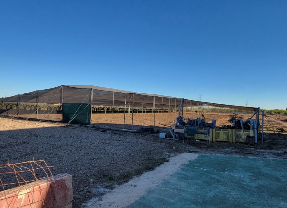 Videresalg - Finca landejendom -
San Miguel de Salinas