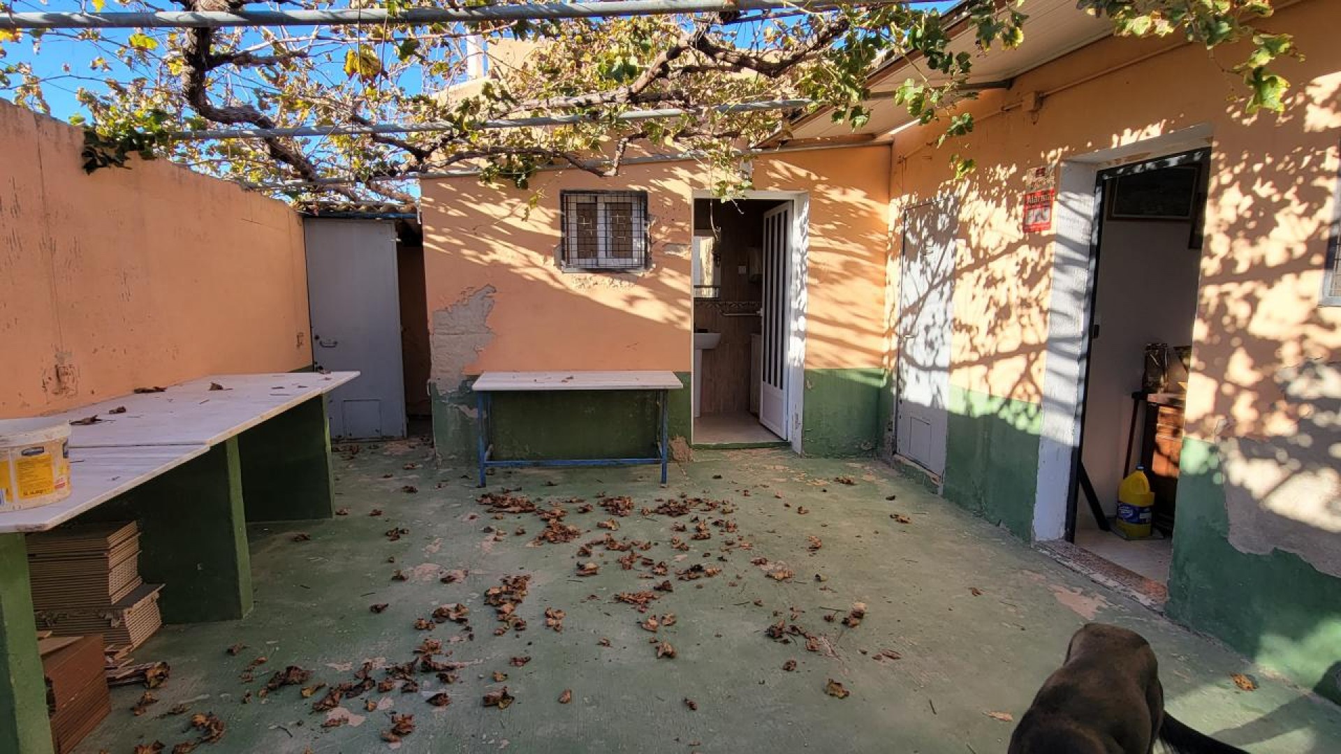 Videresalg - Finca landejendom -
San Miguel de Salinas