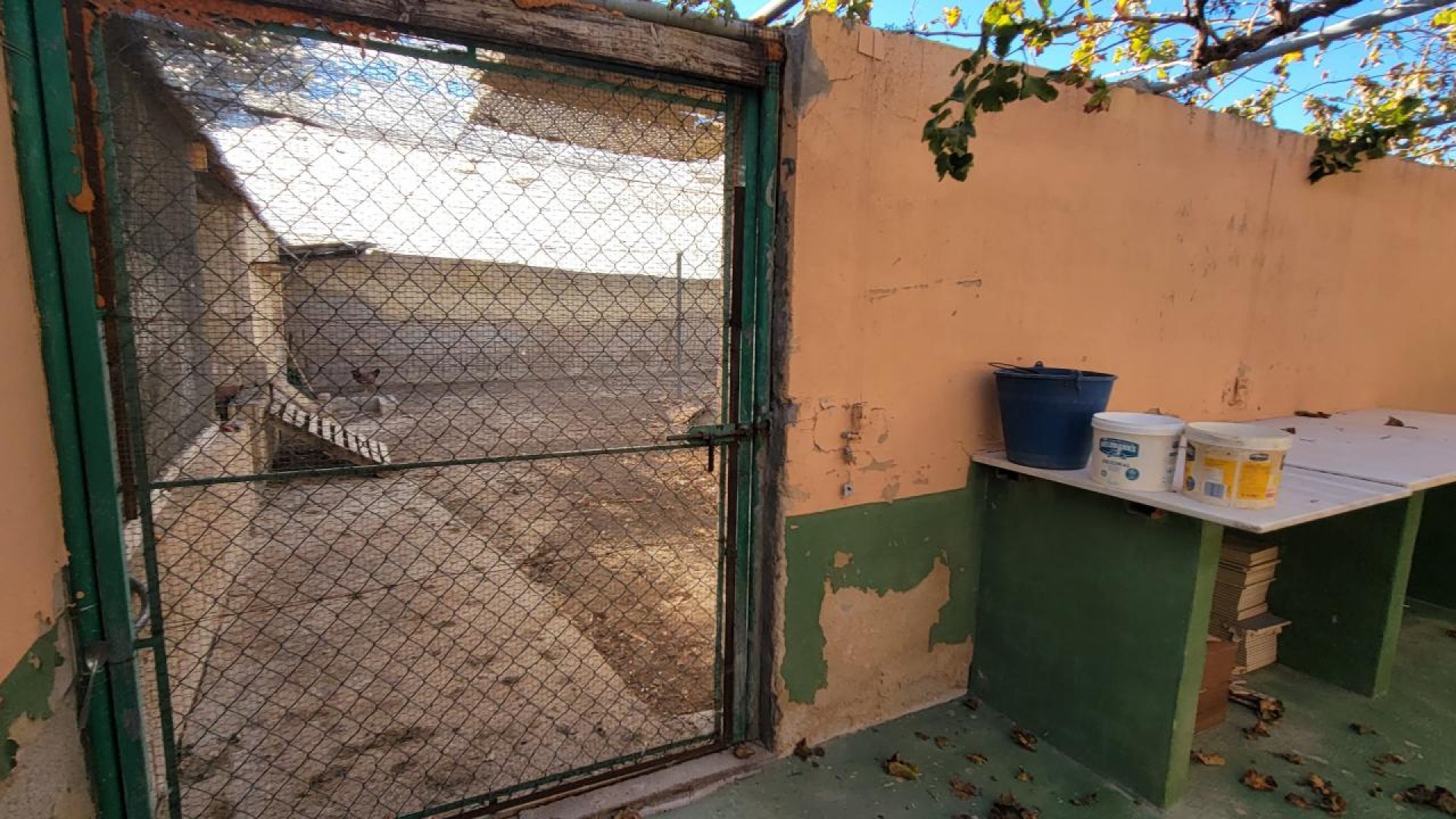 Videresalg - Finca landejendom -
San Miguel de Salinas