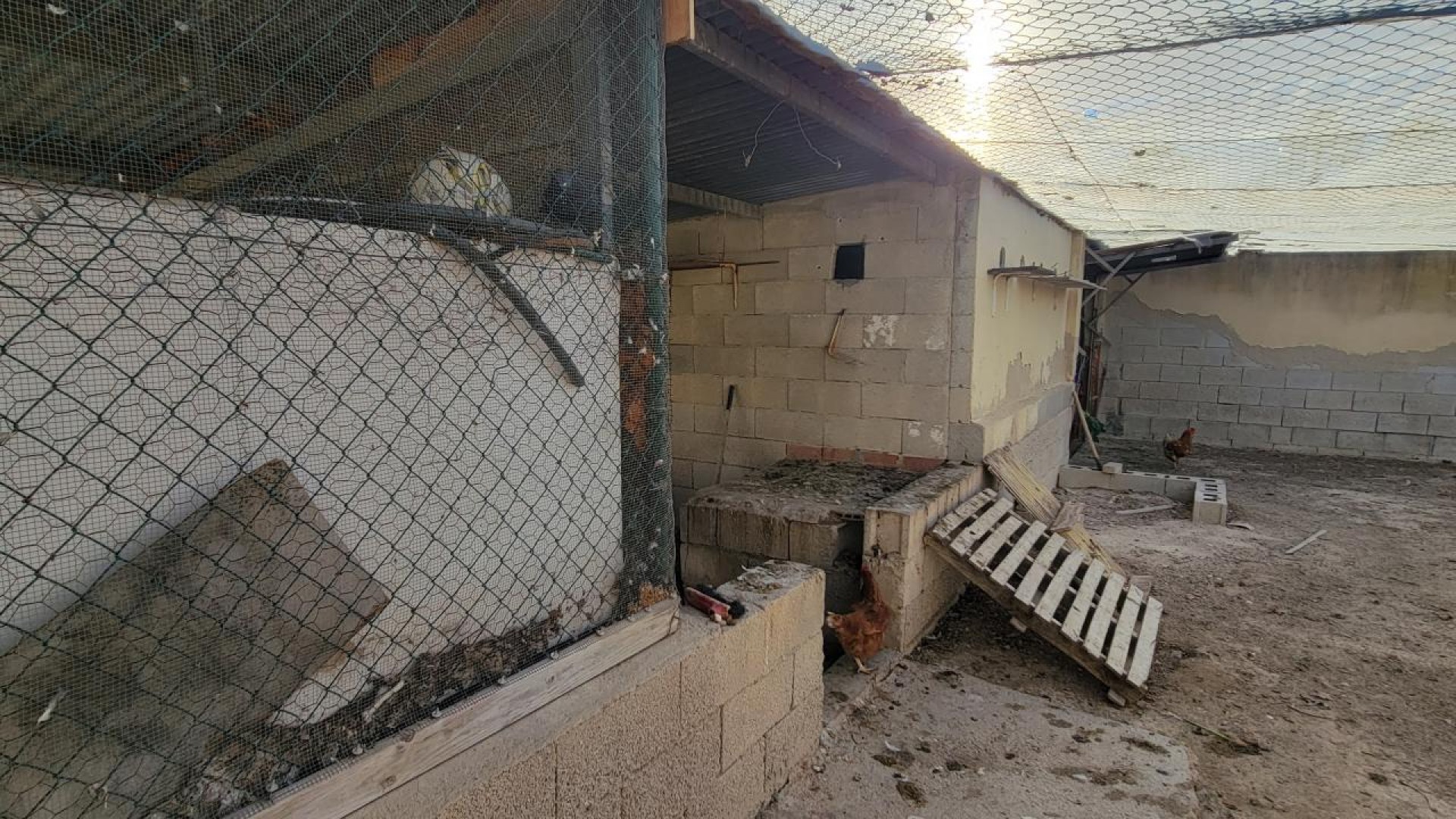 Videresalg - Finca landejendom -
San Miguel de Salinas