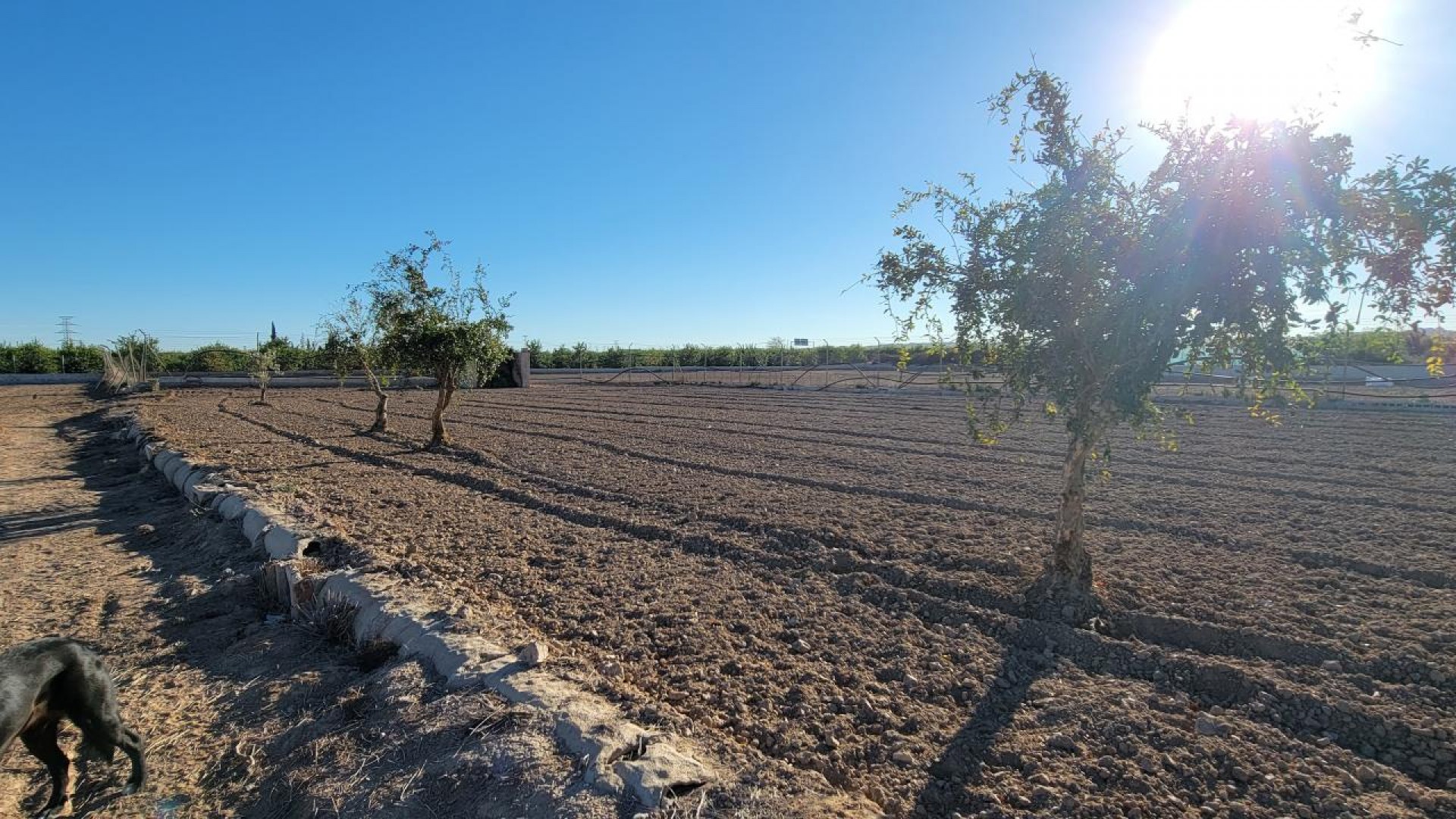 Videresalg - Finca landejendom -
San Miguel de Salinas