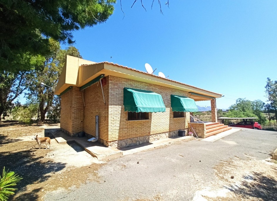 Videresalg - Finca landejendom -
SAN VICENTE DEL RASPIG