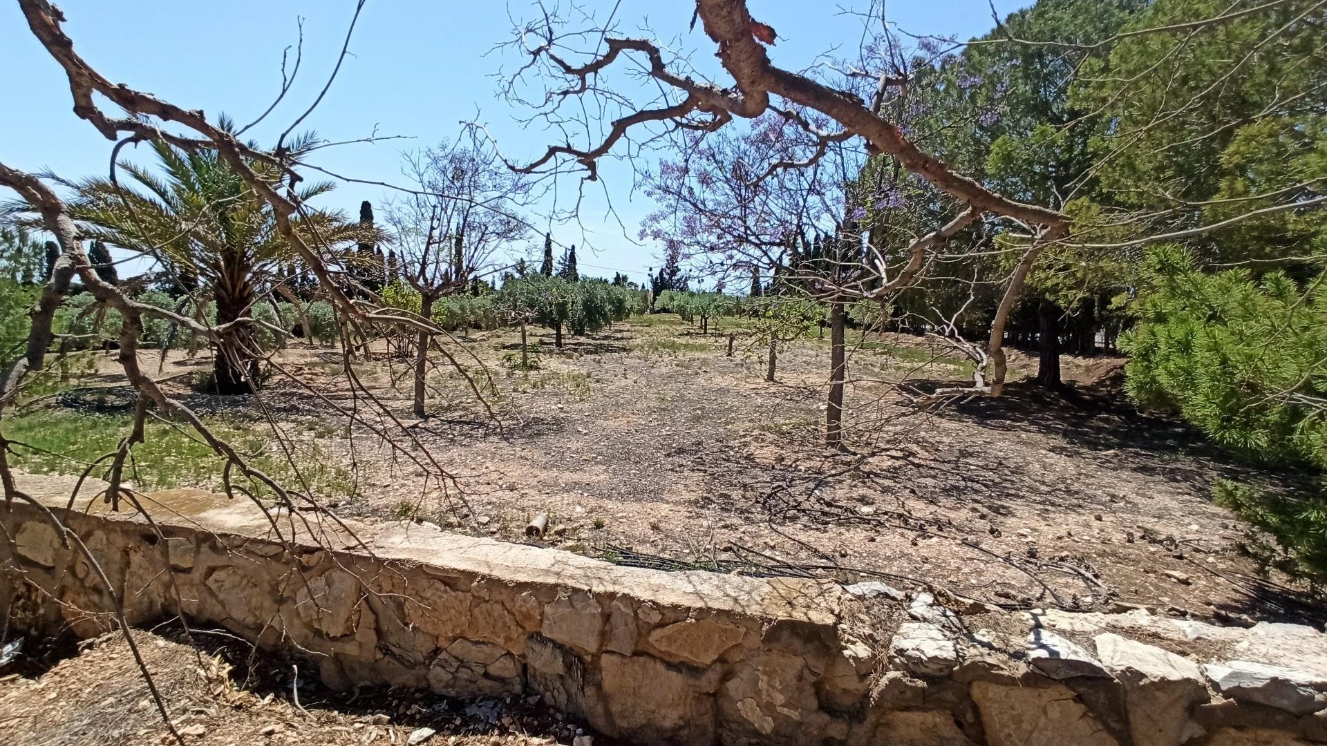 Videresalg - Finca landejendom -
SAN VICENTE DEL RASPIG