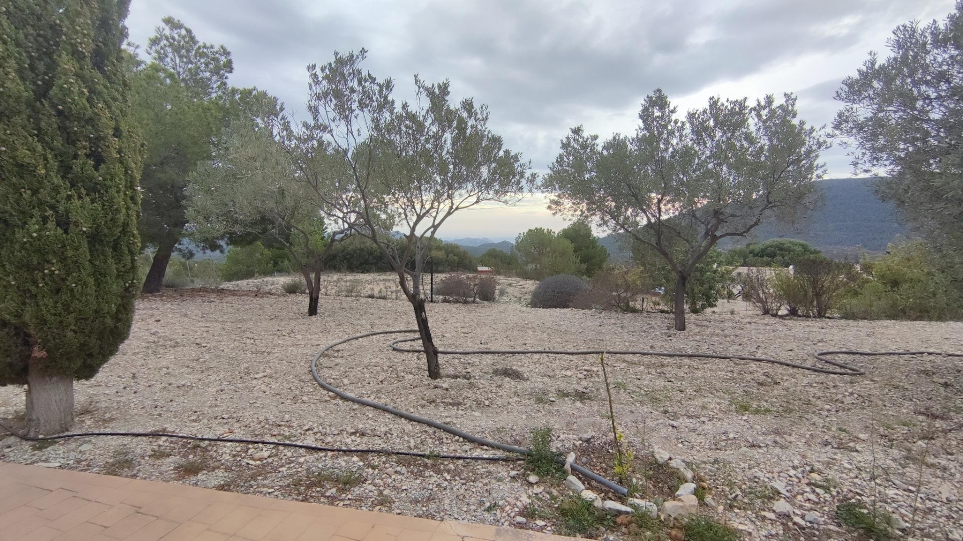 Videresalg - Finca landejendom -
Tibi