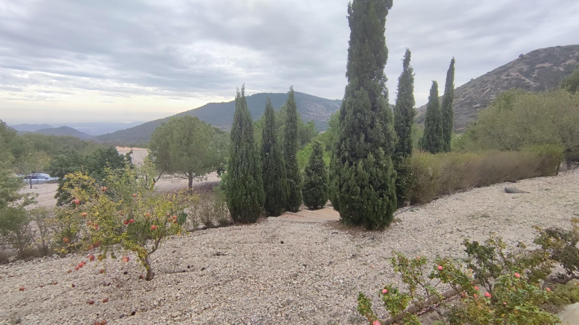 Videresalg - Finca landejendom -
Tibi