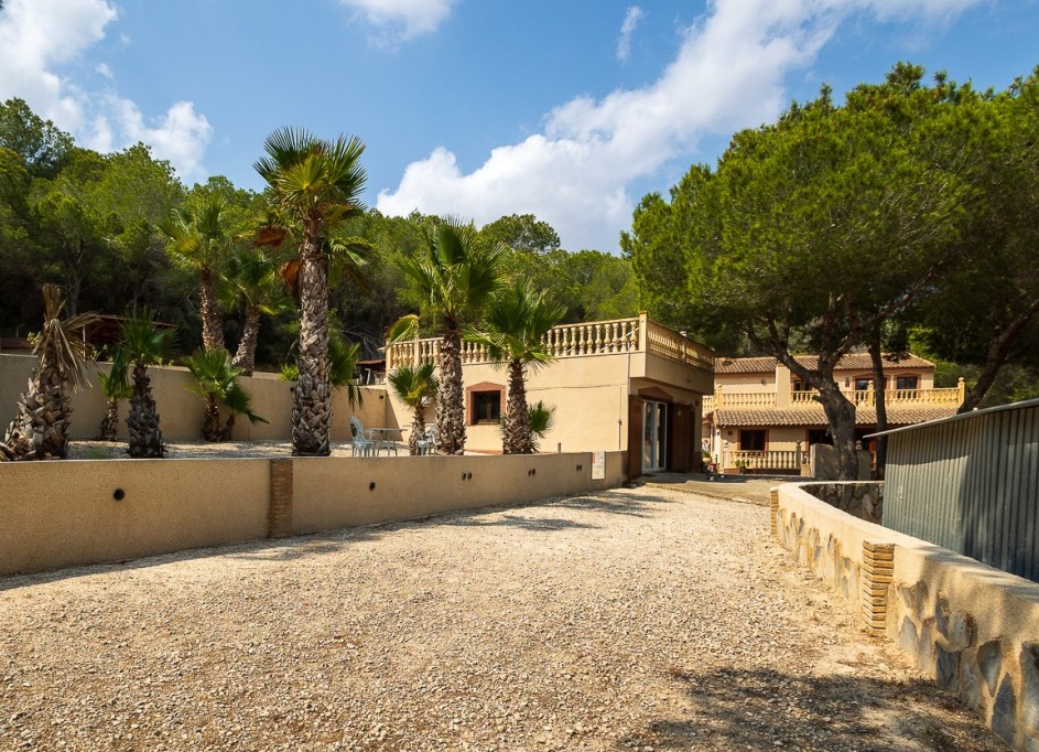 Videresalg - Finca landejendom -
Torremendo