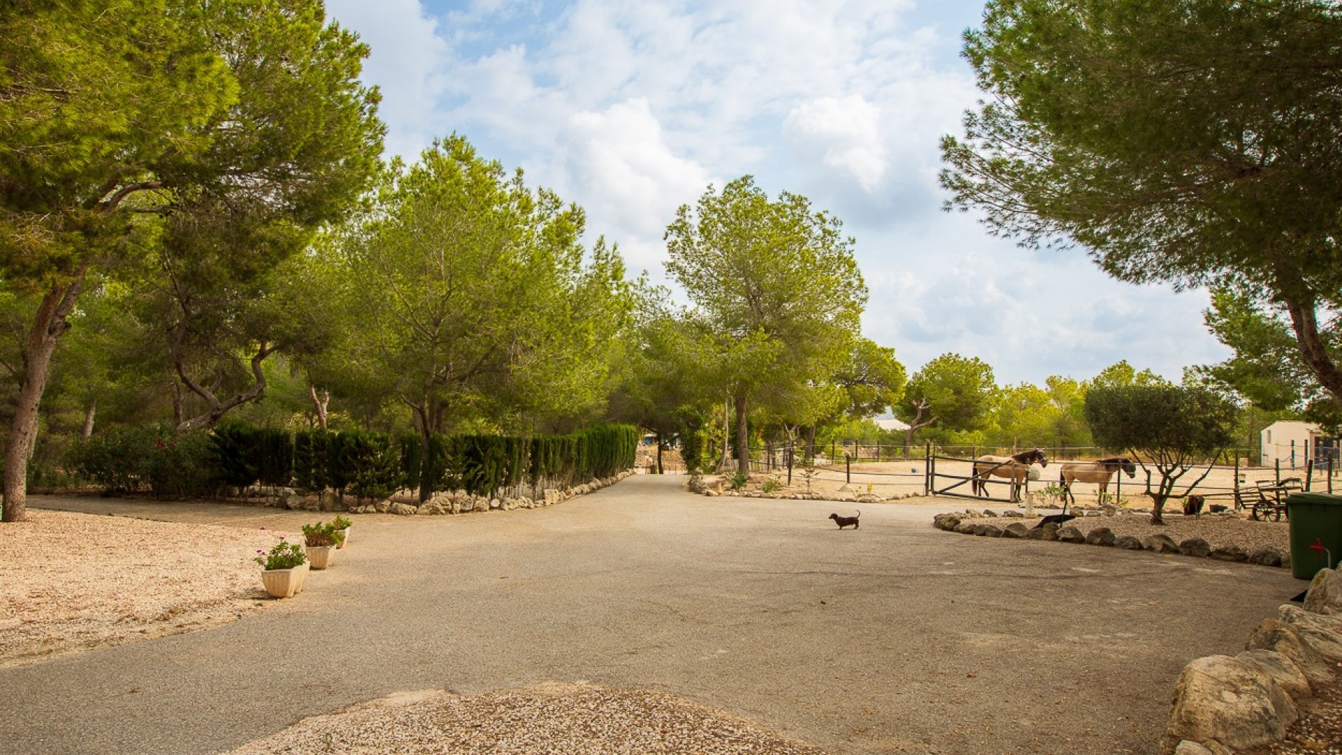 Videresalg - Finca landejendom -
Torremendo