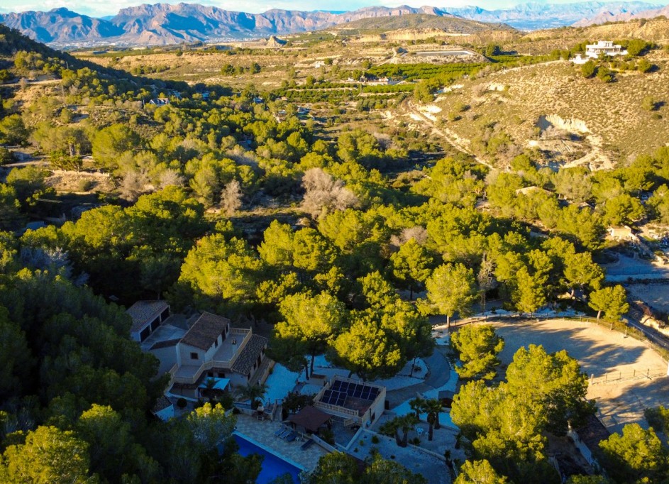 Videresalg - Finca landejendom -
Torremendo