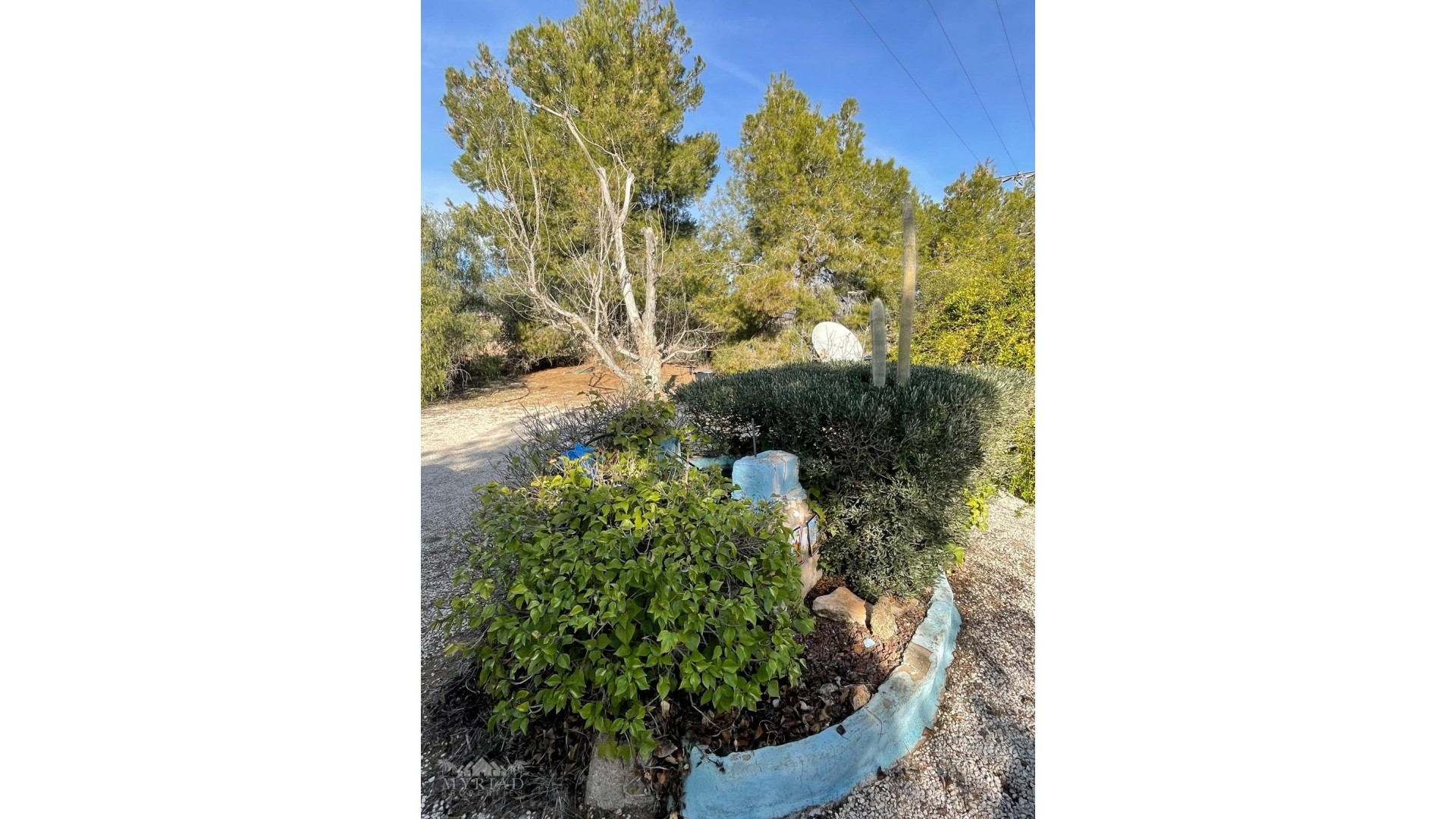 Videresalg - Finca landejendom -
&Uacute;beda - &Uacute;beda Alicante