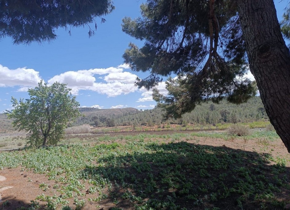 Videresalg - Finca landejendom -
Yecla