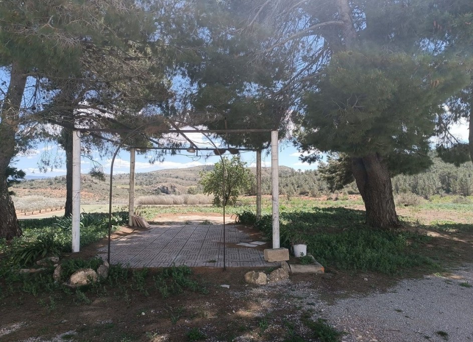 Videresalg - Finca landejendom -
Yecla