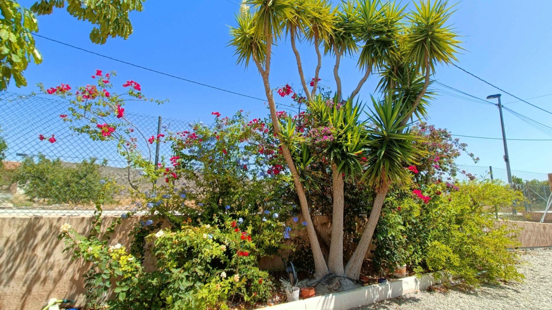 Videresalg - Fritliggende villa -
Abanilla