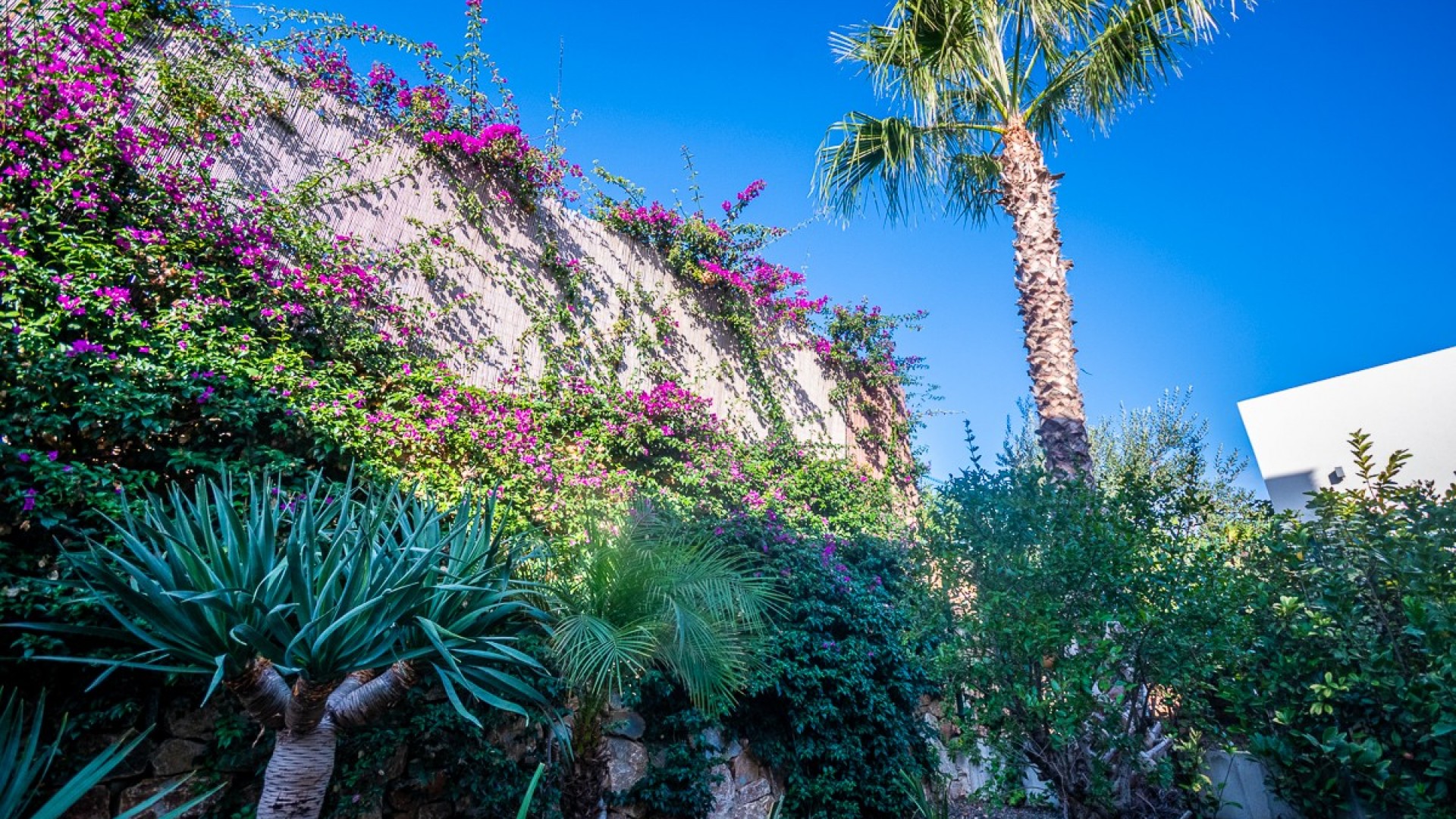 Videresalg - Fritliggende villa -
Algorfa - LA FINCA GOLF / ALGORFA