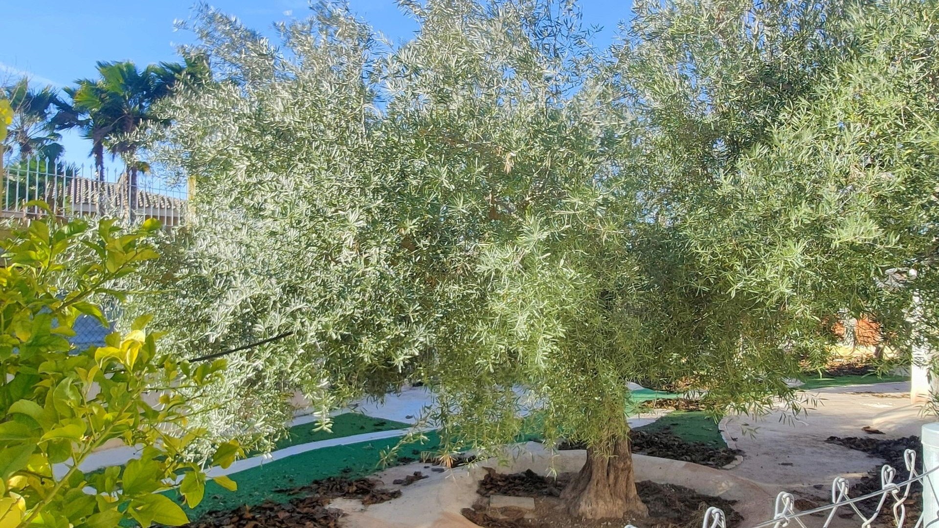 Videresalg - Fritliggende villa -
Aspe