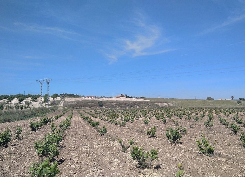 Videresalg - Fritliggende villa -
Cañada del Trigo