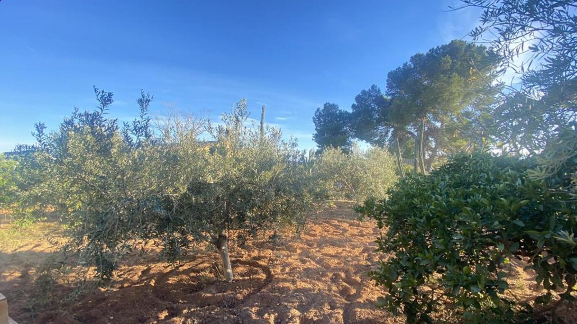 Videresalg - Fritliggende villa -
Gea y Truyols