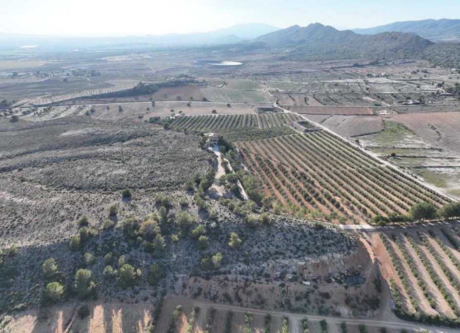 Videresalg - Fritliggende villa -
Gea y Truyols