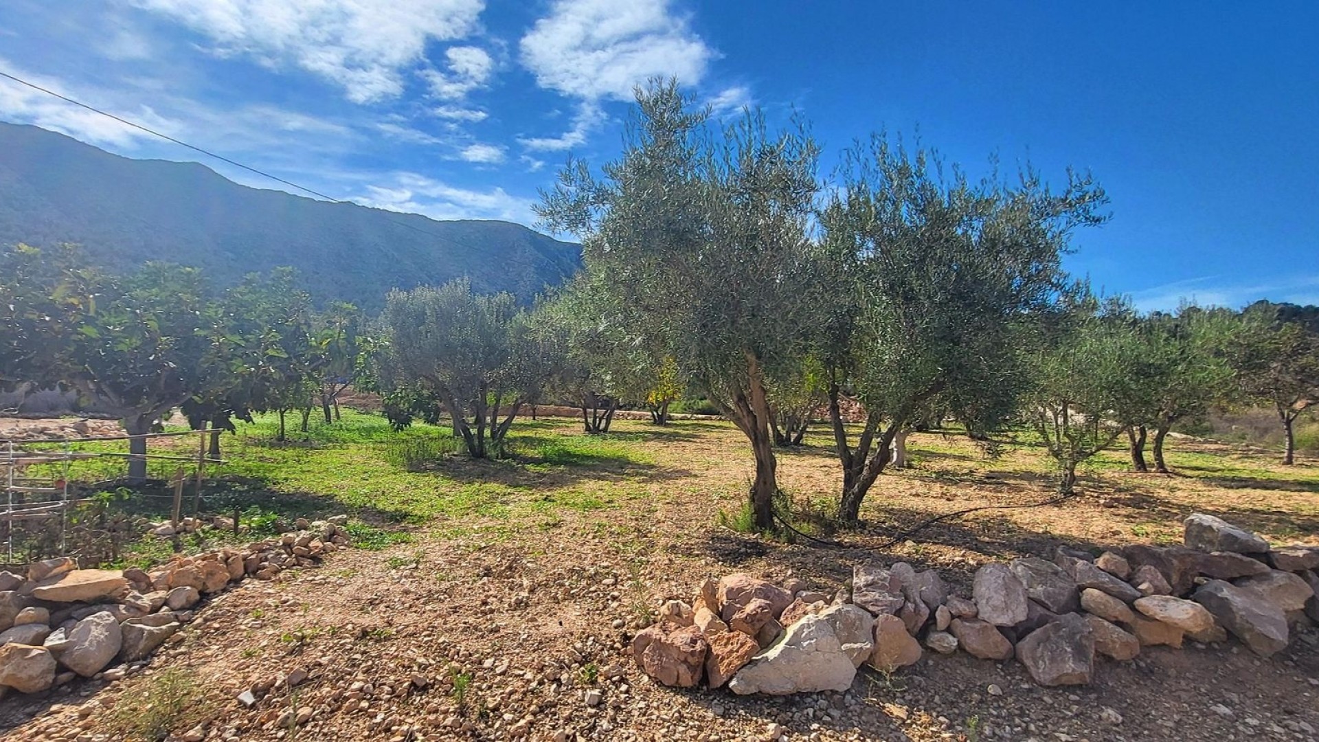 Videresalg - Fritliggende villa -
La Romana