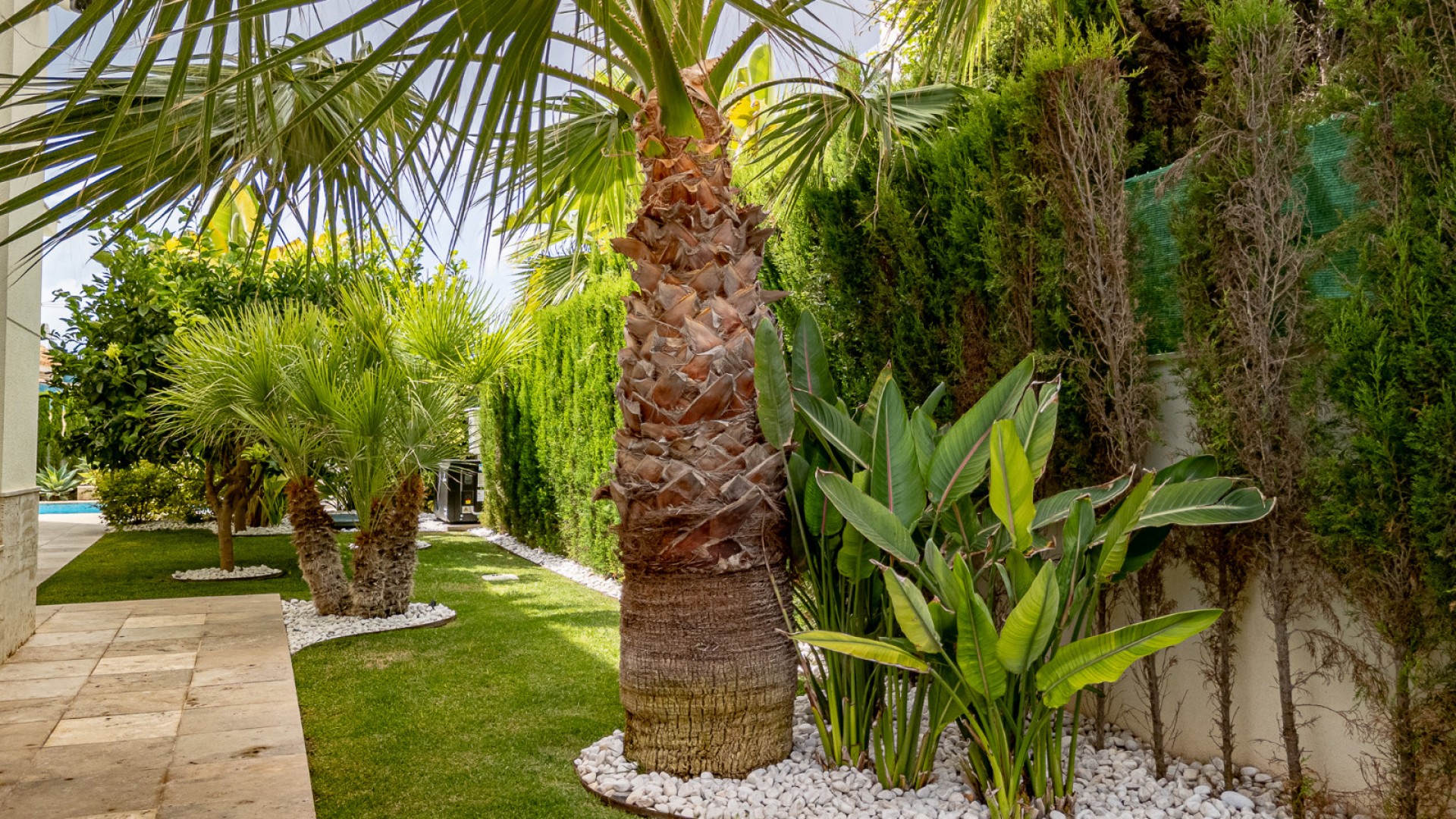 Videresalg - Fritliggende villa -
La Zenia - Beachside