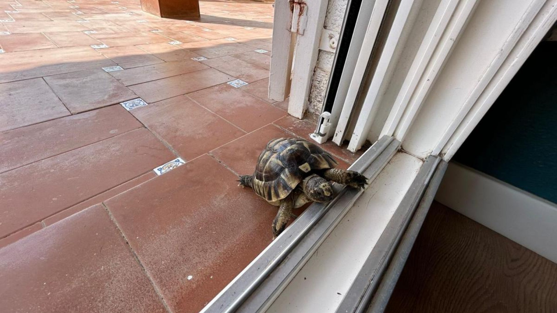 Videresalg - Fritliggende villa -
San Miguel de Salinas